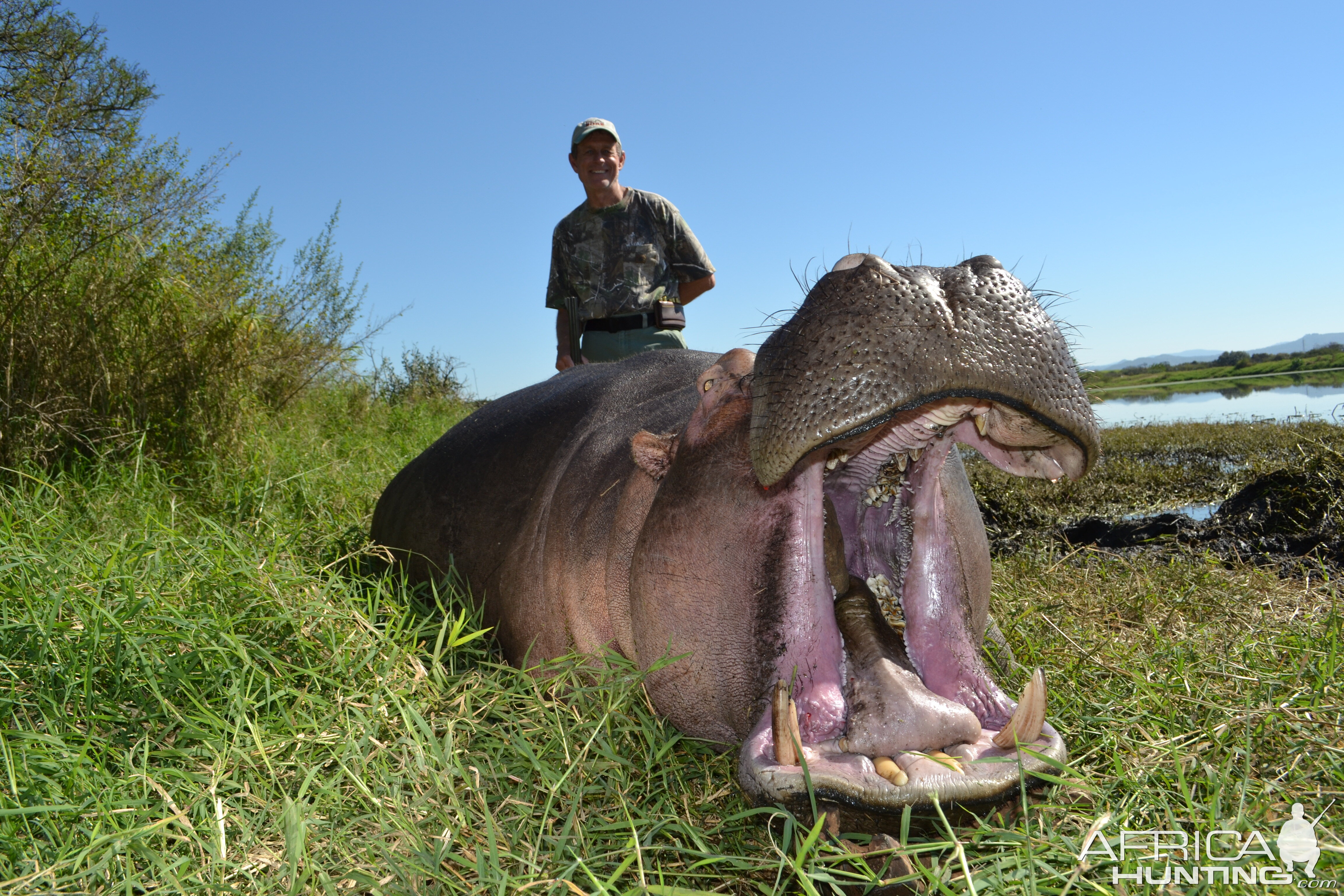 South Africa Hunt Hippo