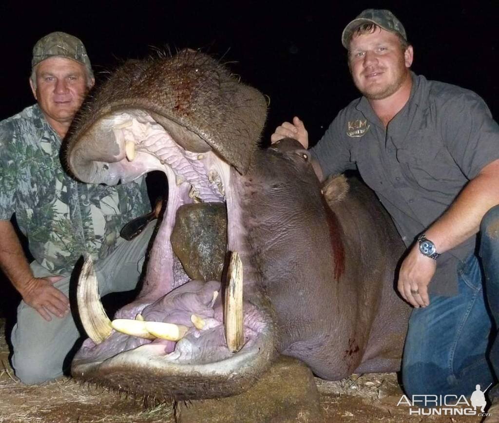 South Africa Hunt Hippo