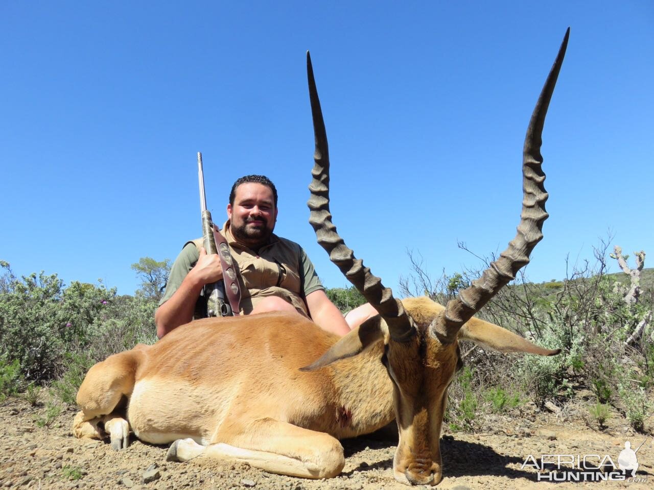 South Africa Hunt Impala