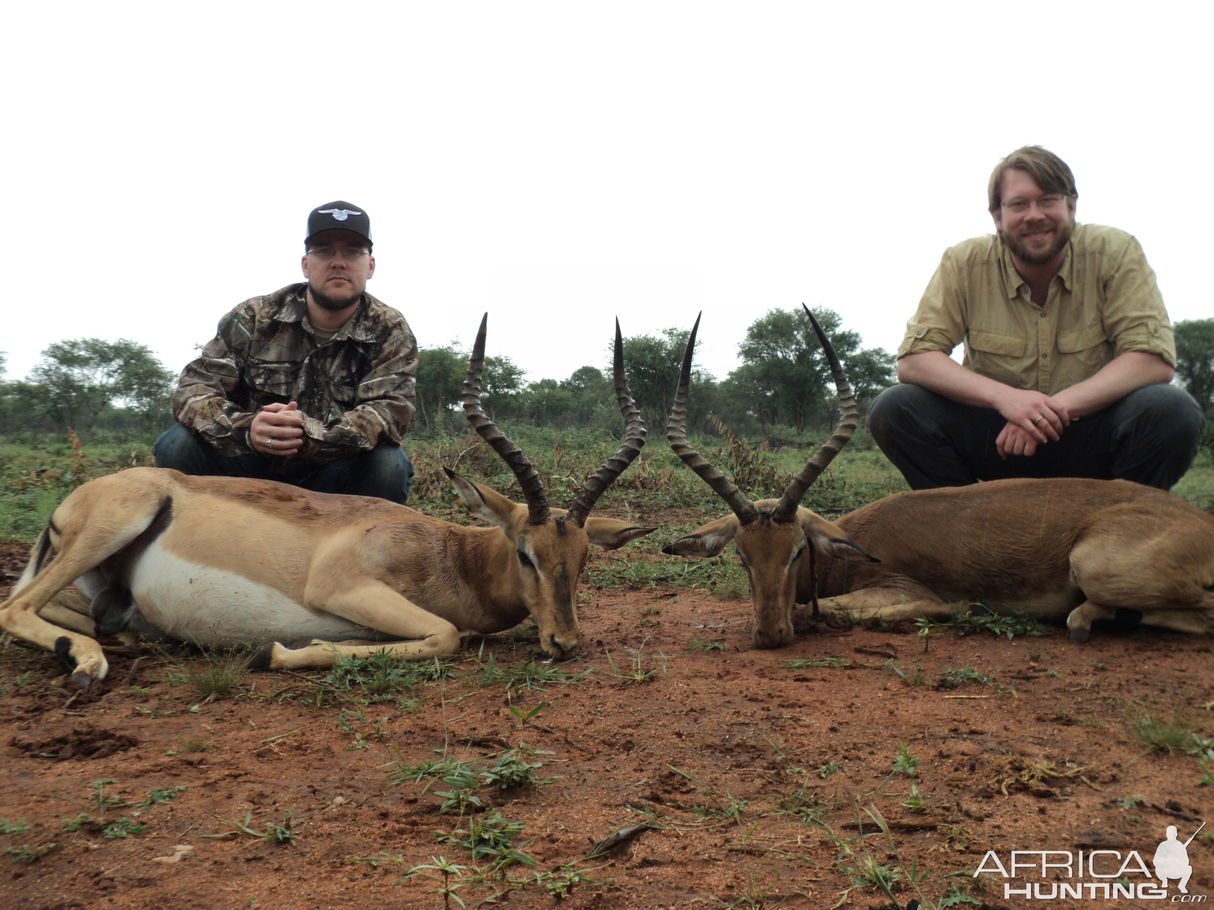 South Africa Hunt Impala