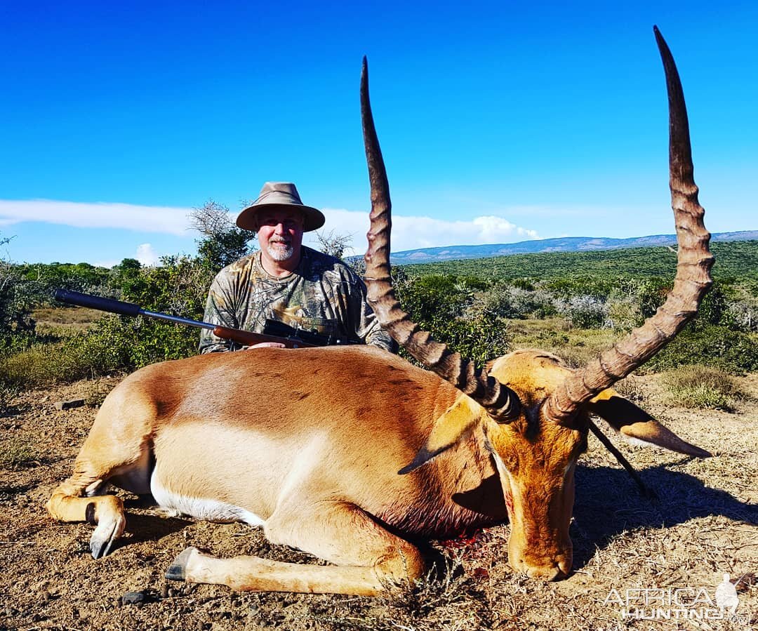 South Africa Hunt Impala