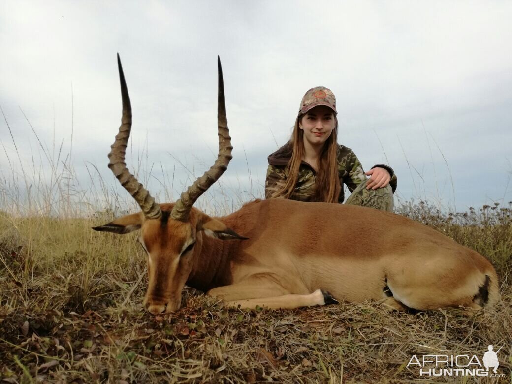 South Africa Hunt Impala