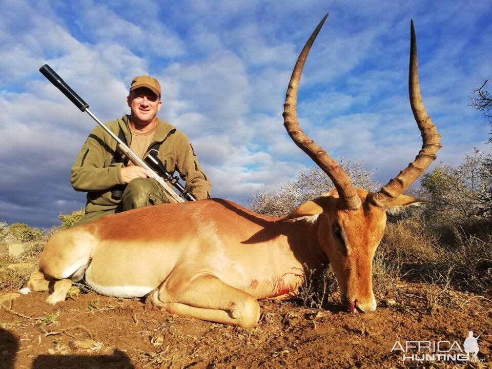 South Africa Hunt Impala