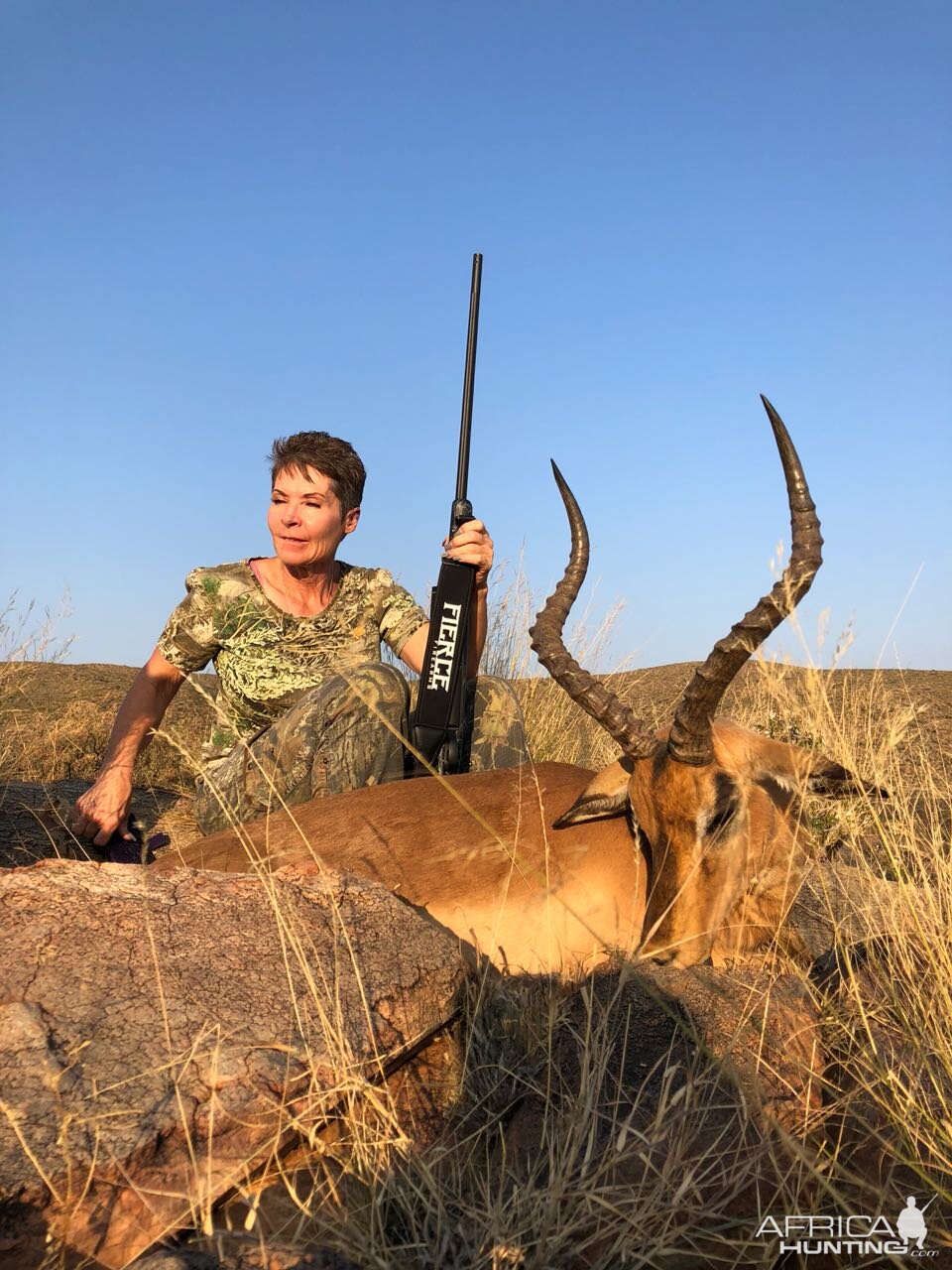 South Africa Hunt Impala