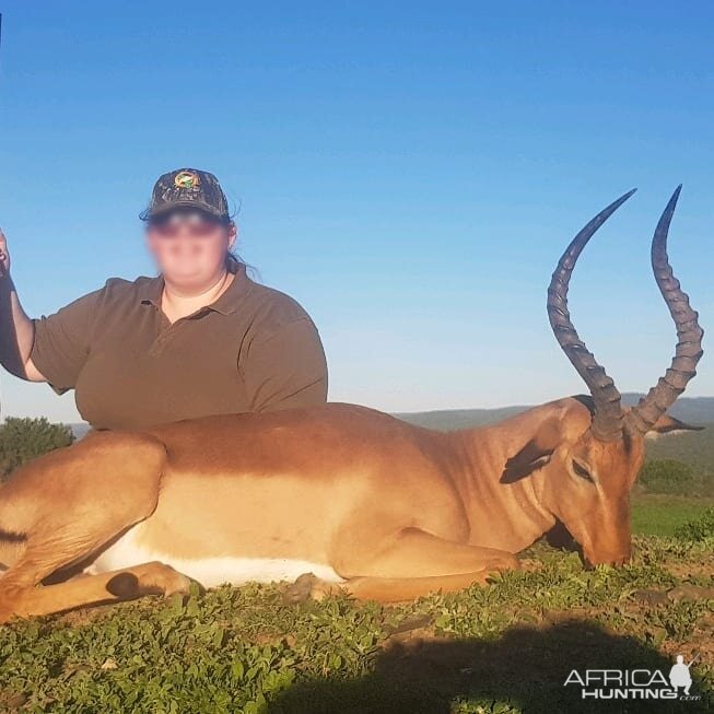 South Africa Hunt Impala