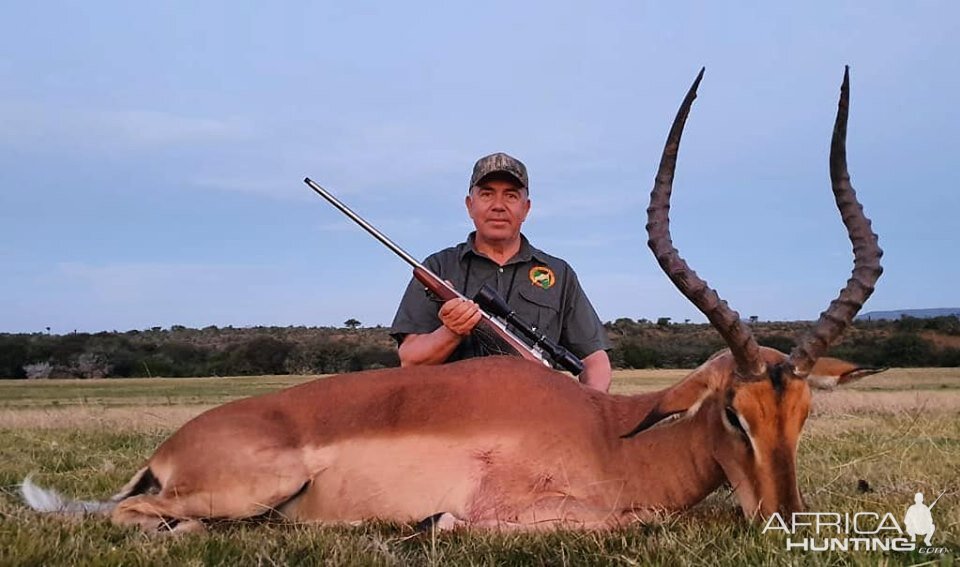 South Africa Hunt Impala