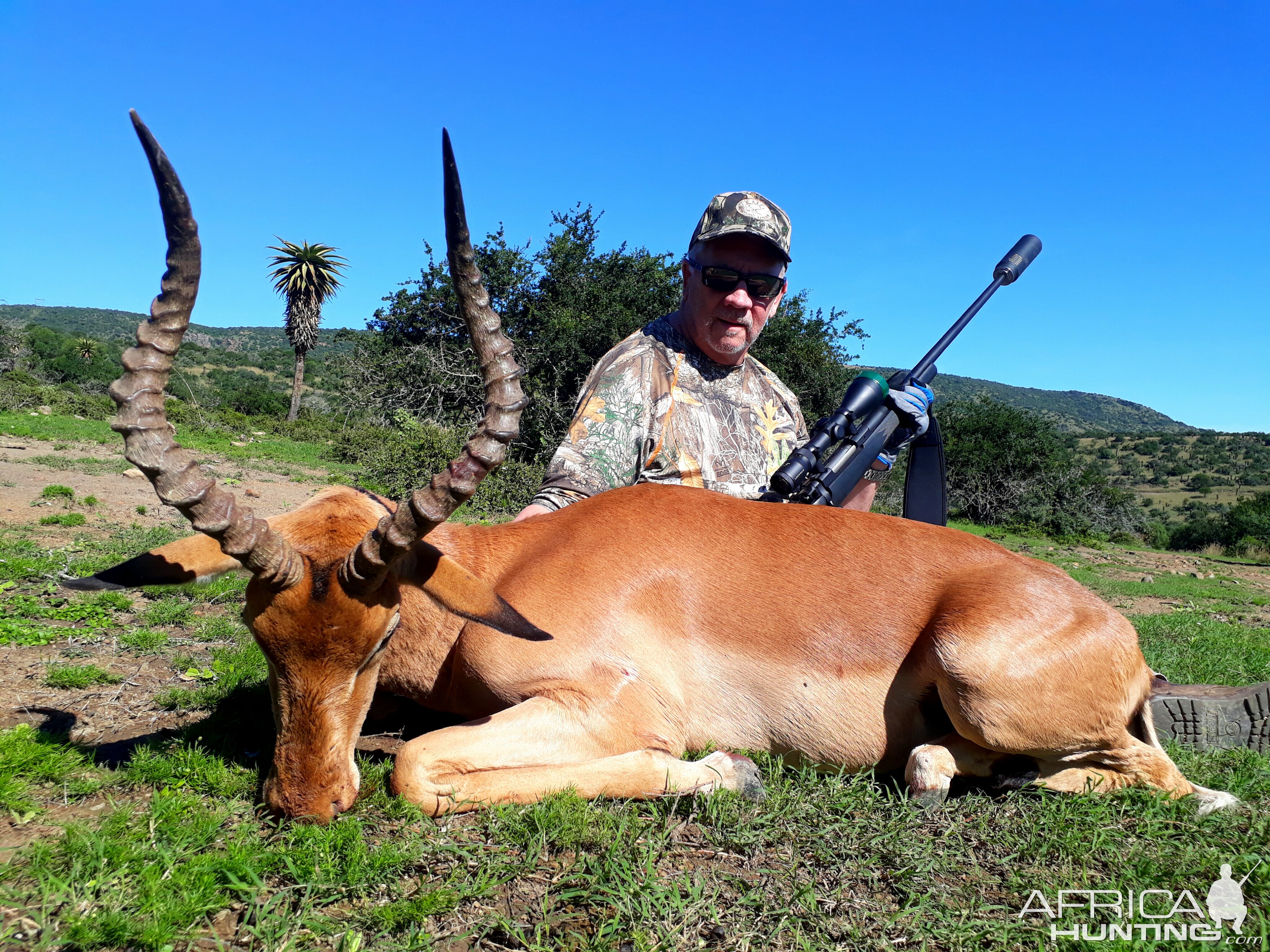 South Africa Hunt Impala