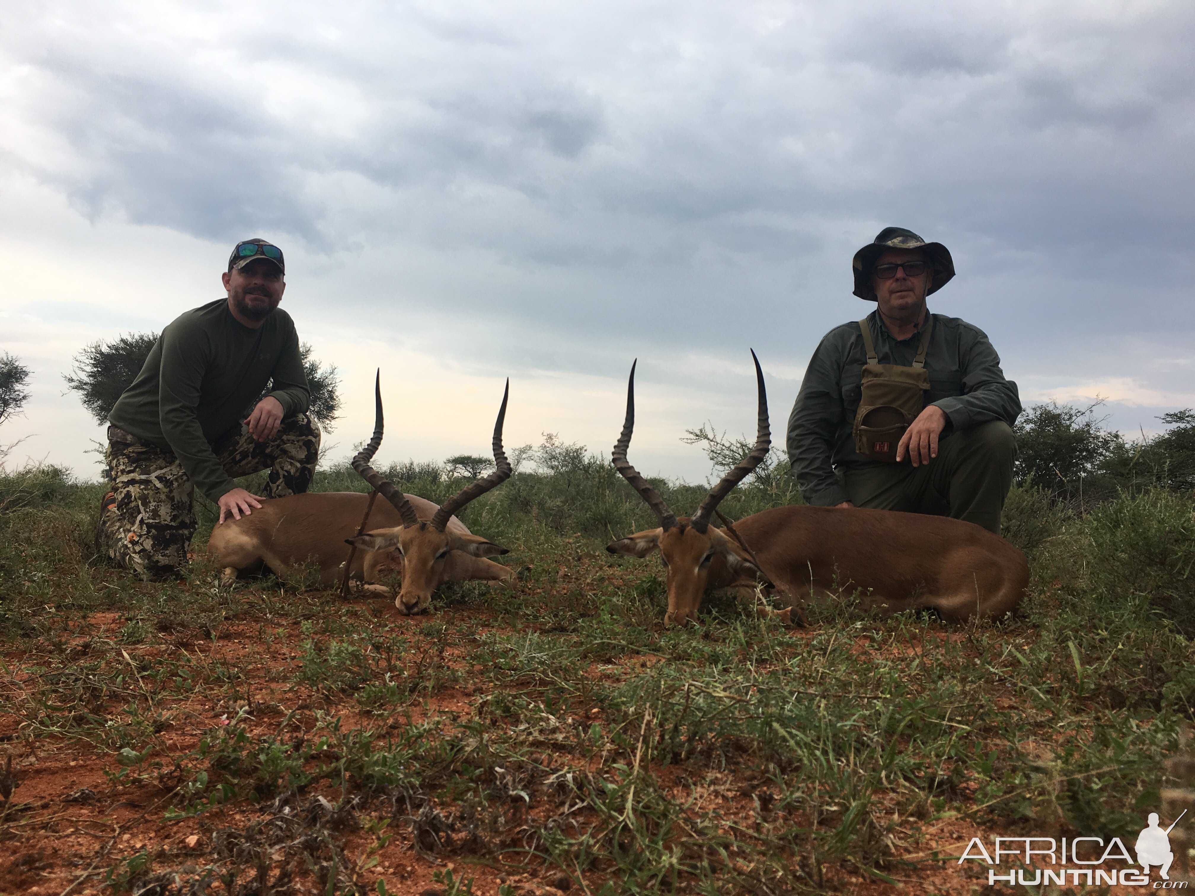 South Africa Hunt Impala