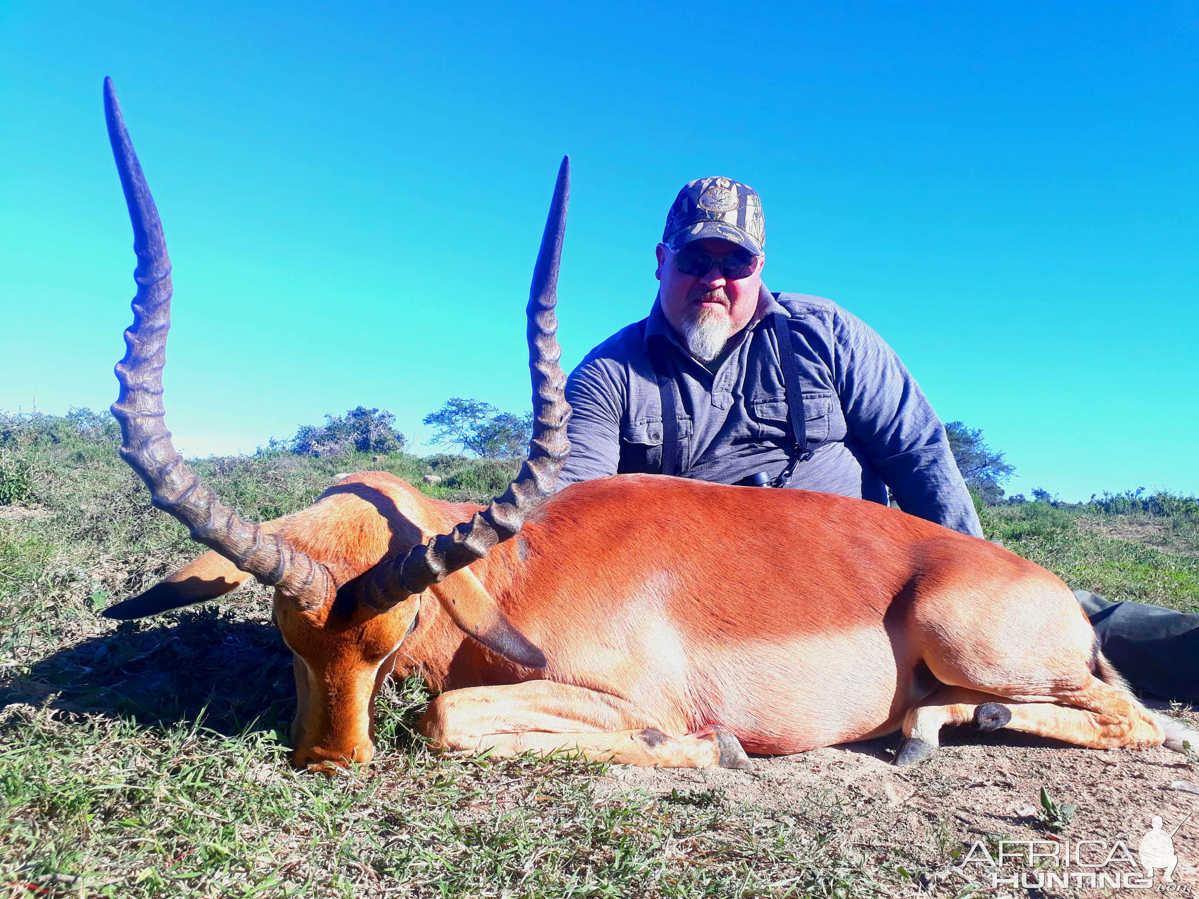 South Africa Hunt Impala