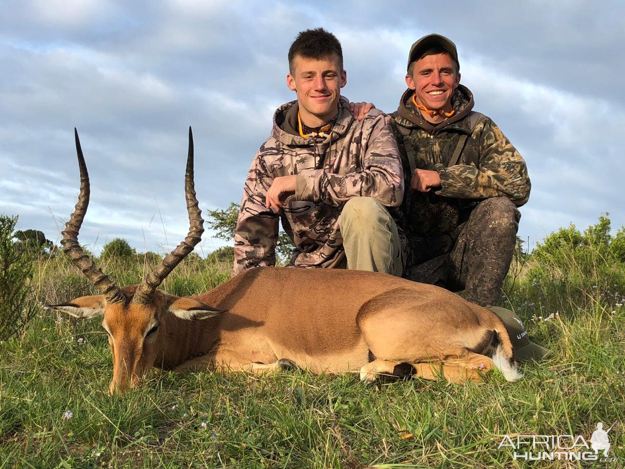 South Africa Hunt Impala