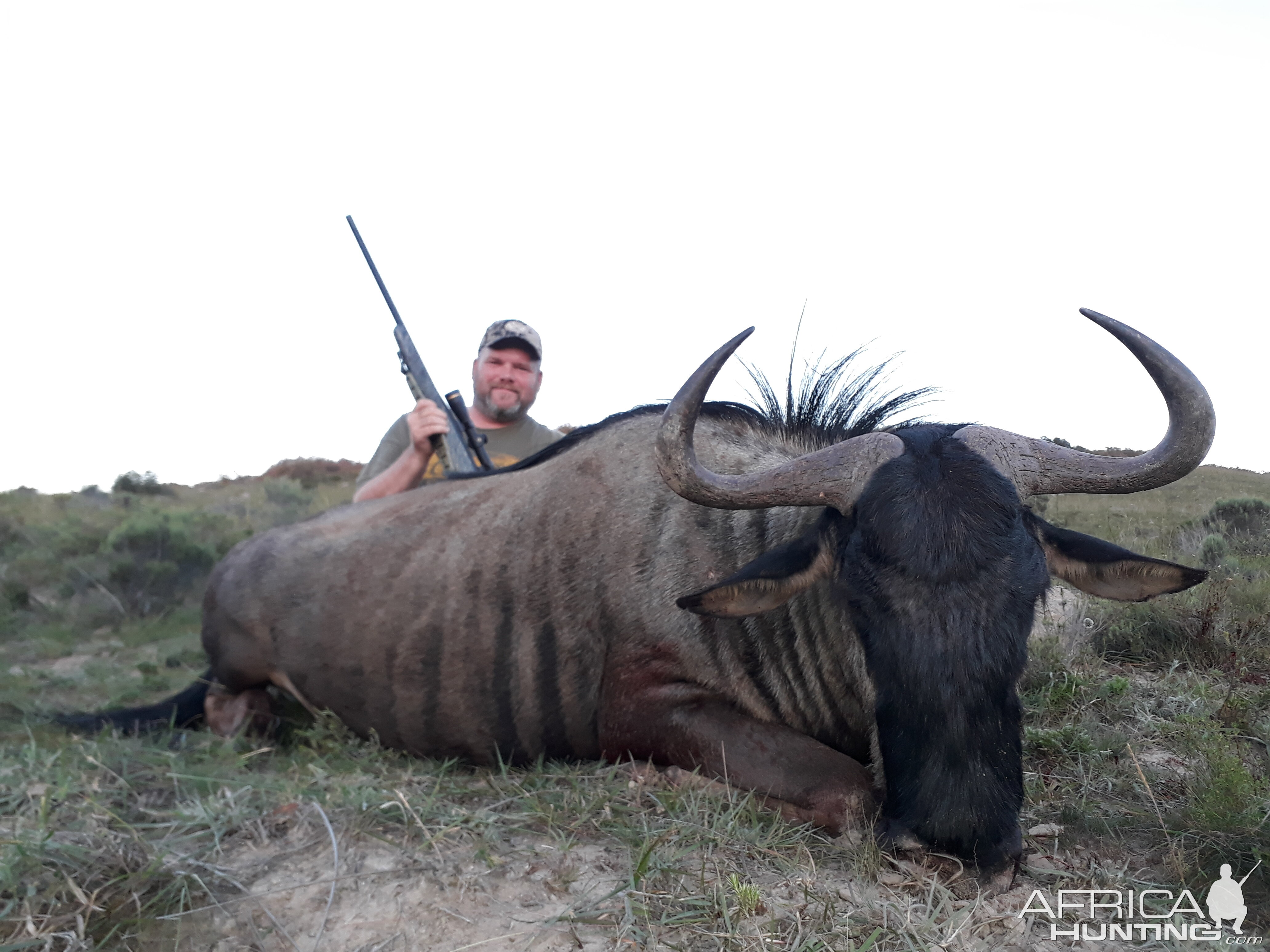 South Africa Hunt Impala