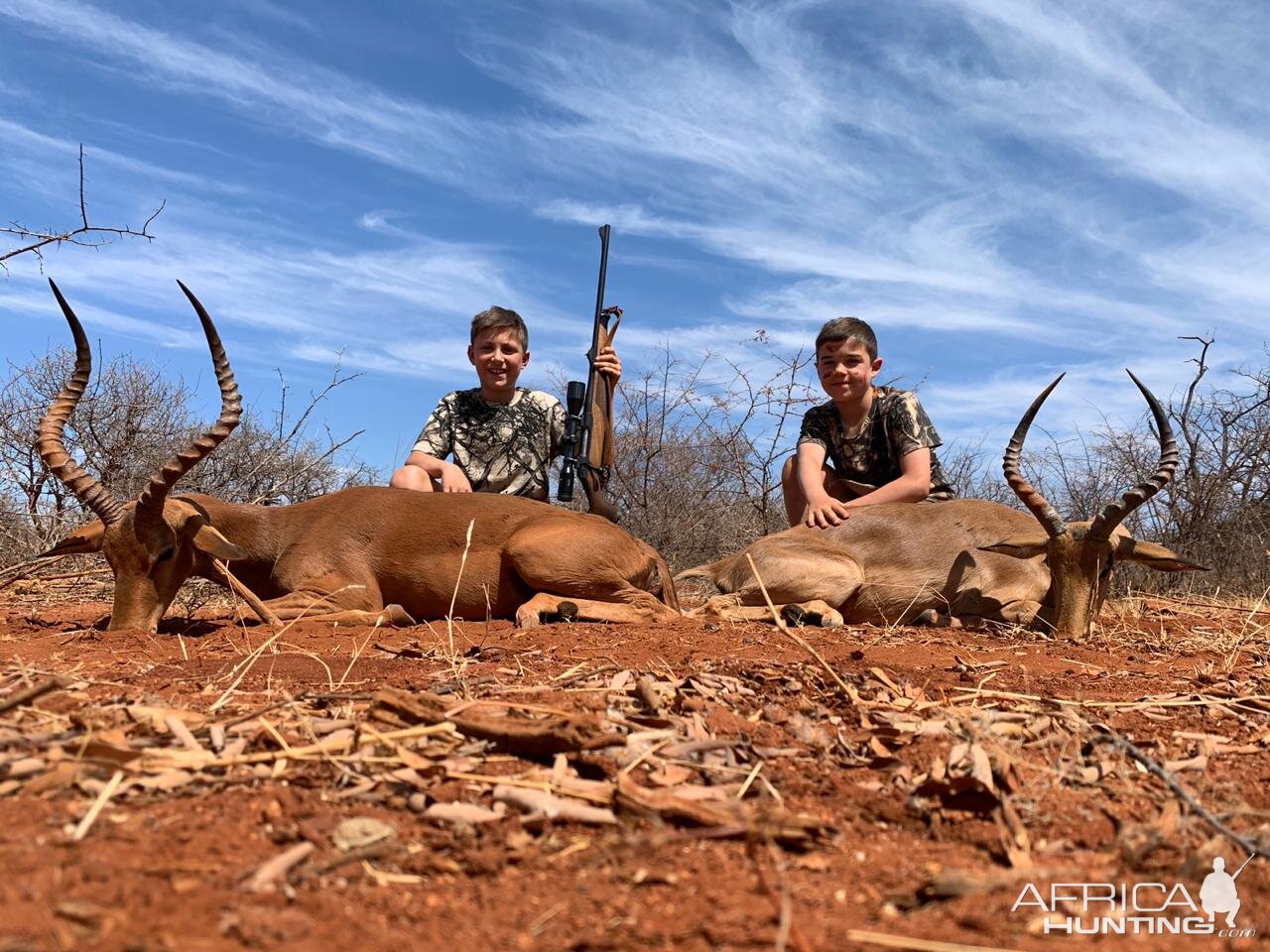 South Africa Hunt Impala