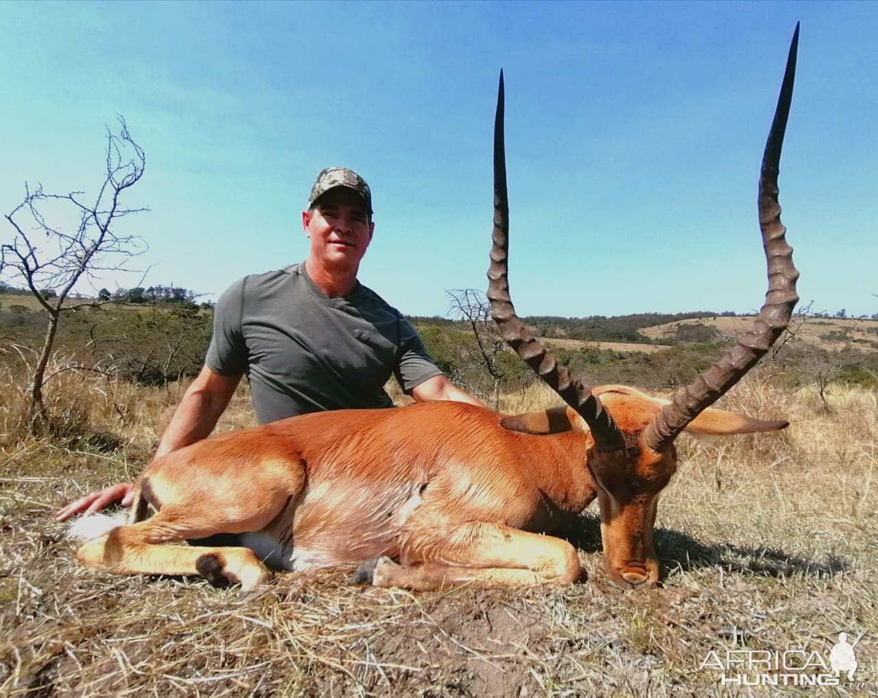 South Africa Hunt Impala