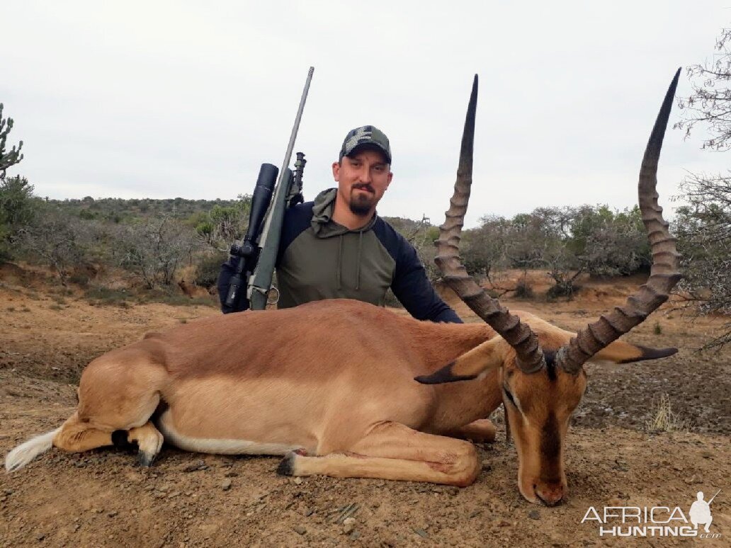 South Africa Hunt Impala