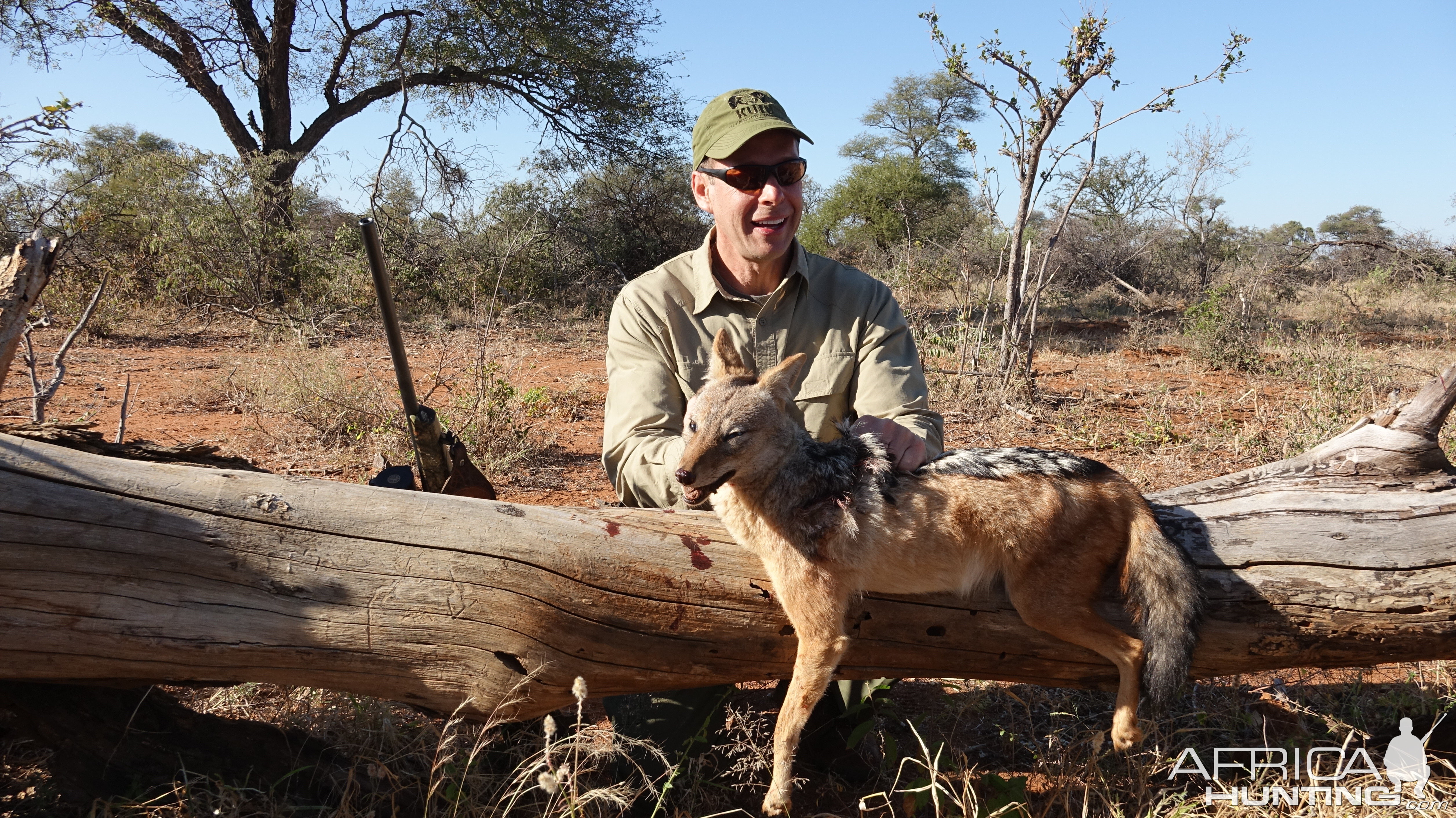 South Africa Hunt Jackal