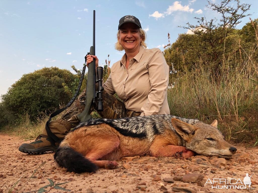 South Africa Hunt Jackal