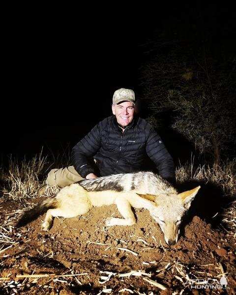 South Africa Hunt Jackal