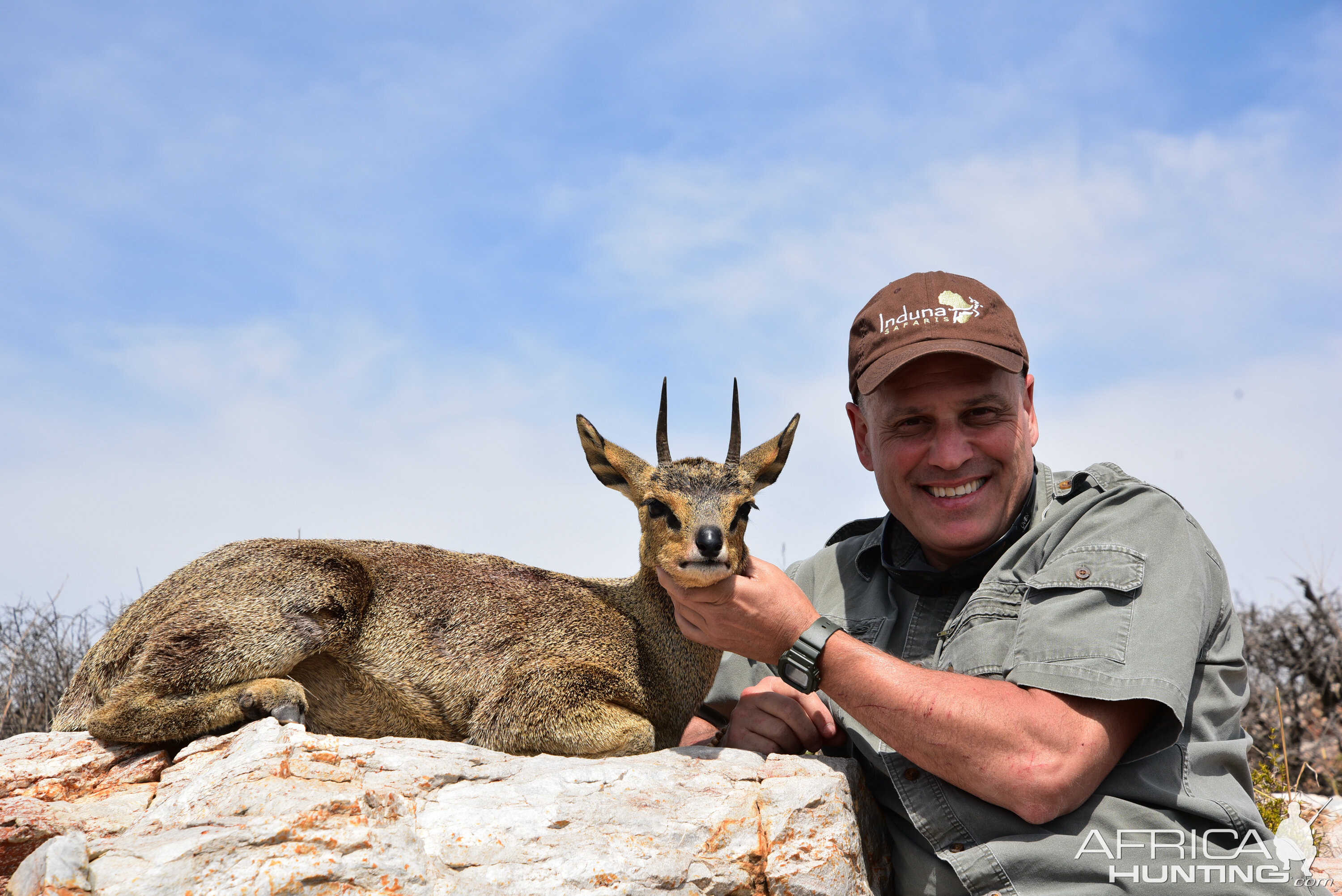 South Africa Hunt Klipspringer