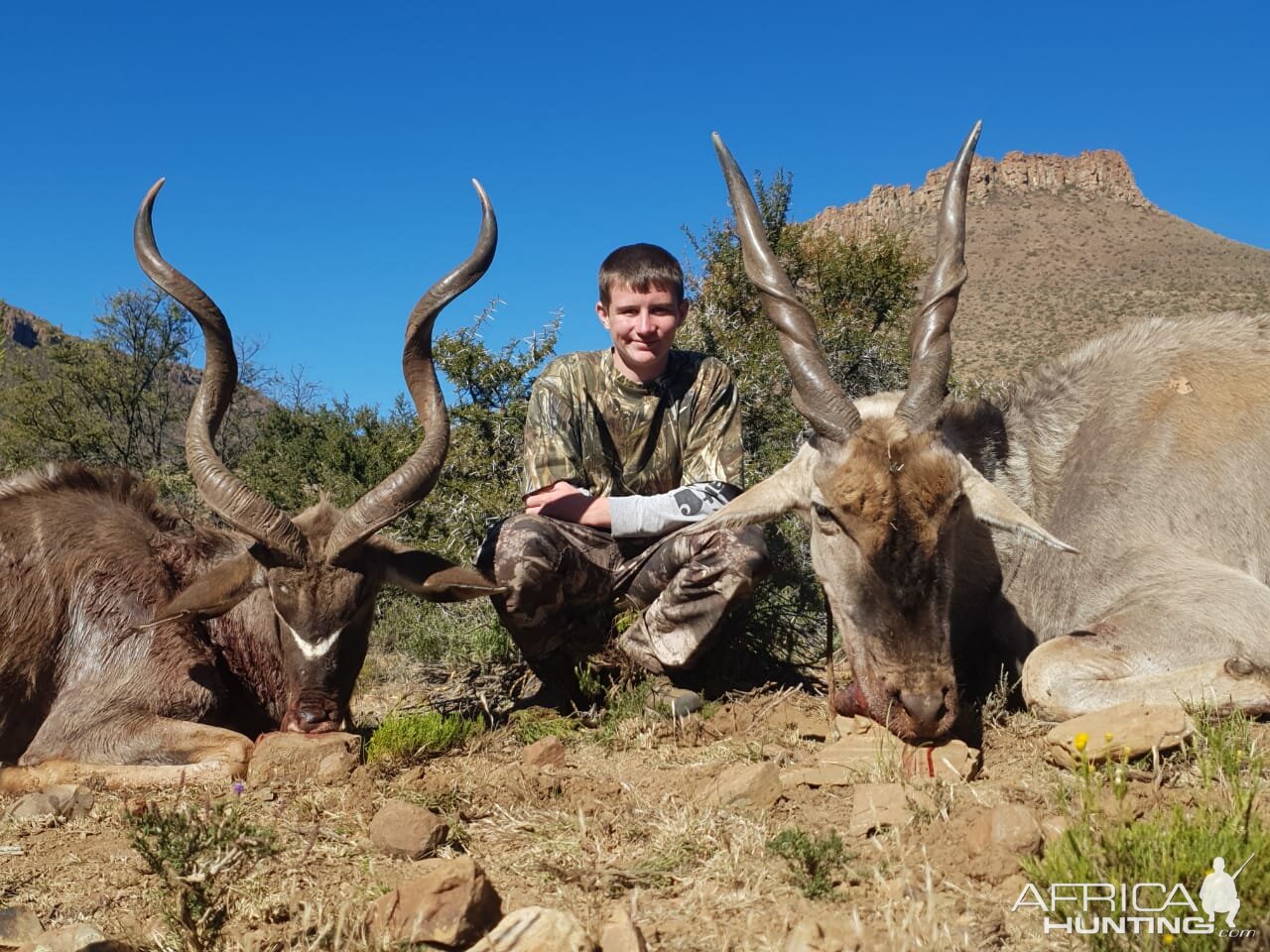 South Africa Hunt Kudu & Eland