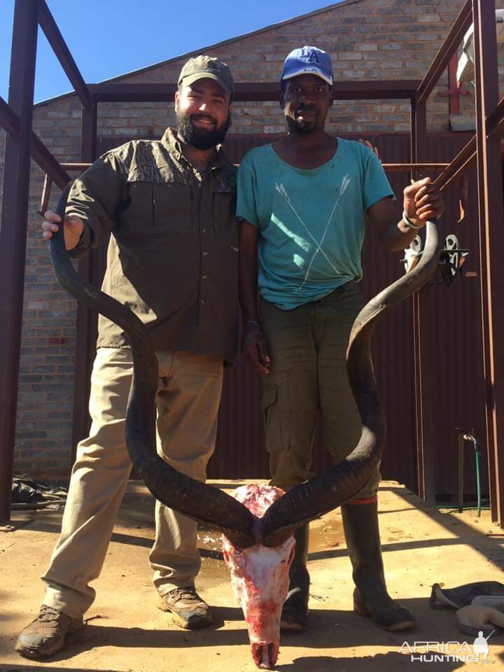 South Africa Hunt Kudu