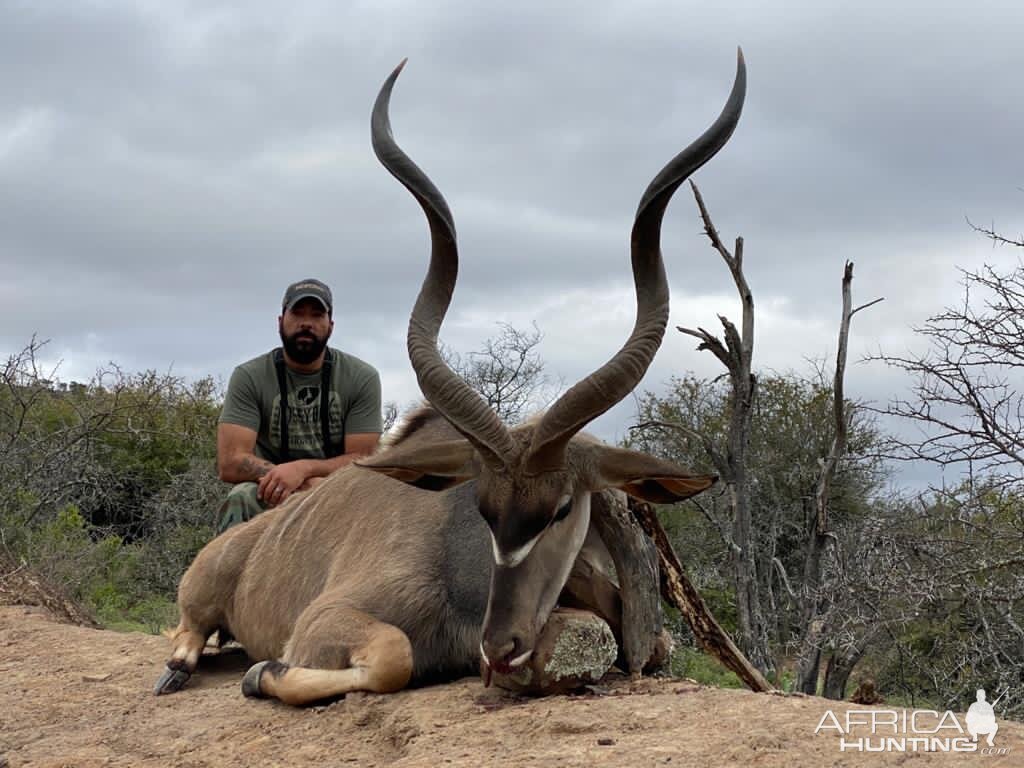 South Africa Hunt Kudu