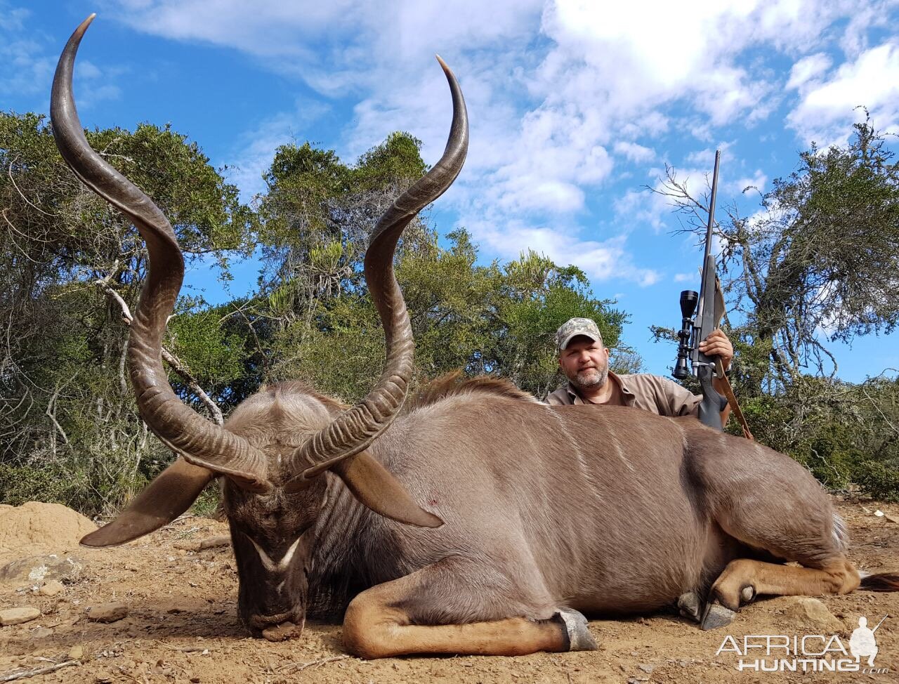 South Africa Hunt Kudu