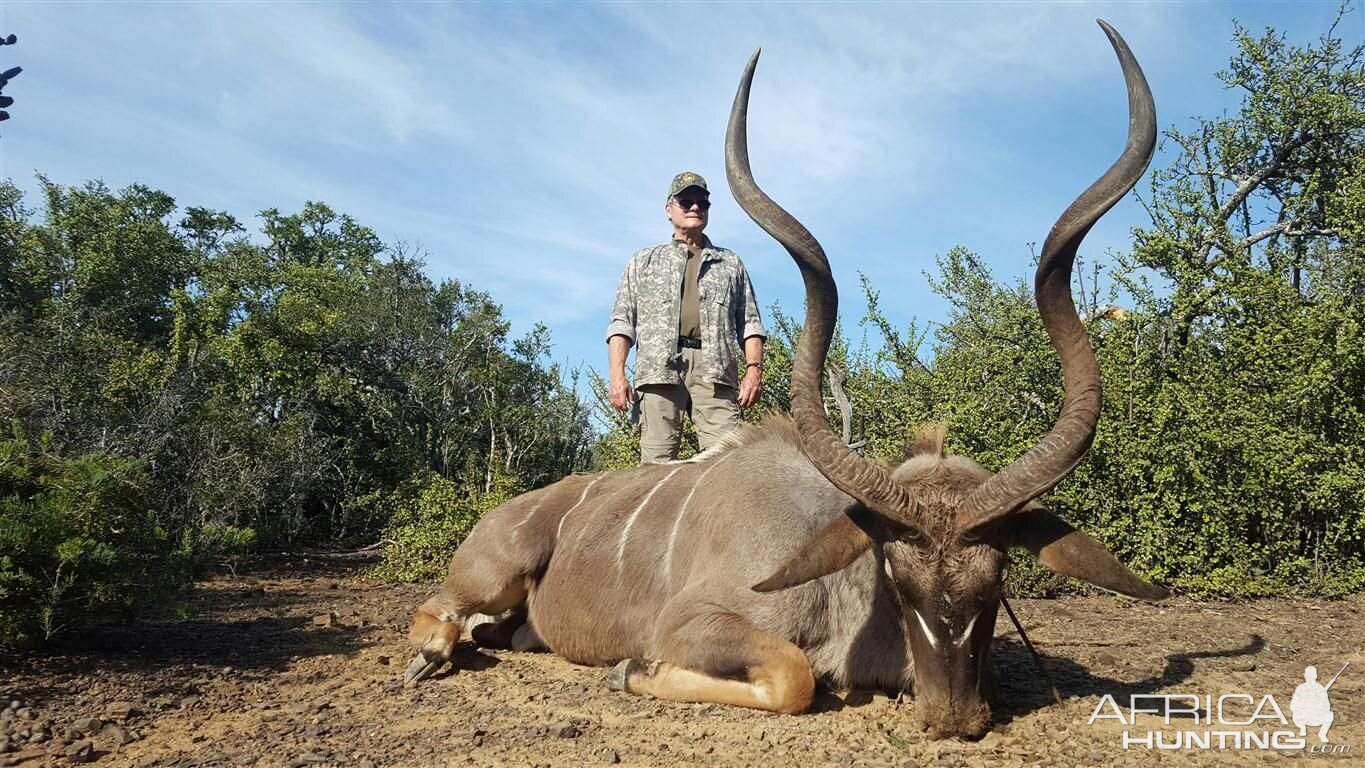 South Africa Hunt Kudu