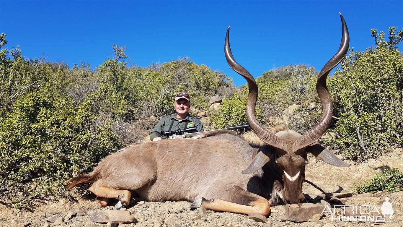 South Africa Hunt Kudu