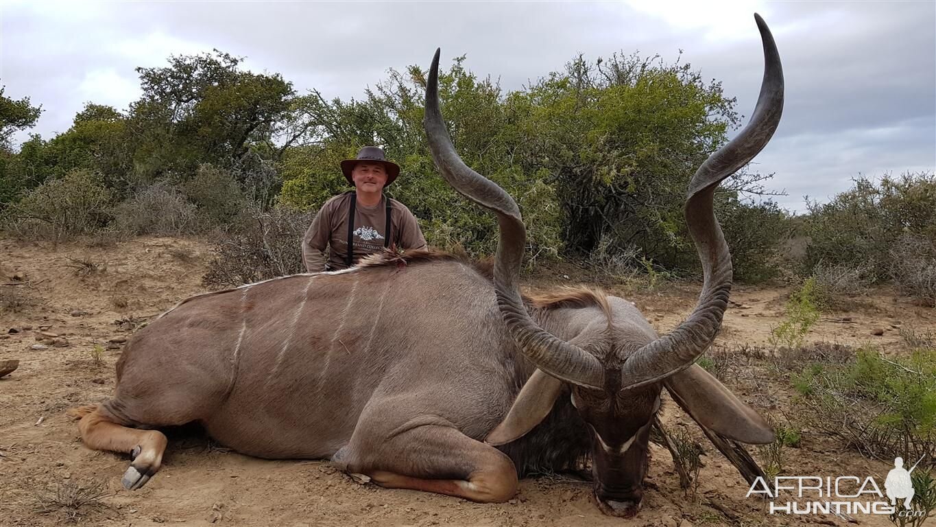 South Africa Hunt Kudu