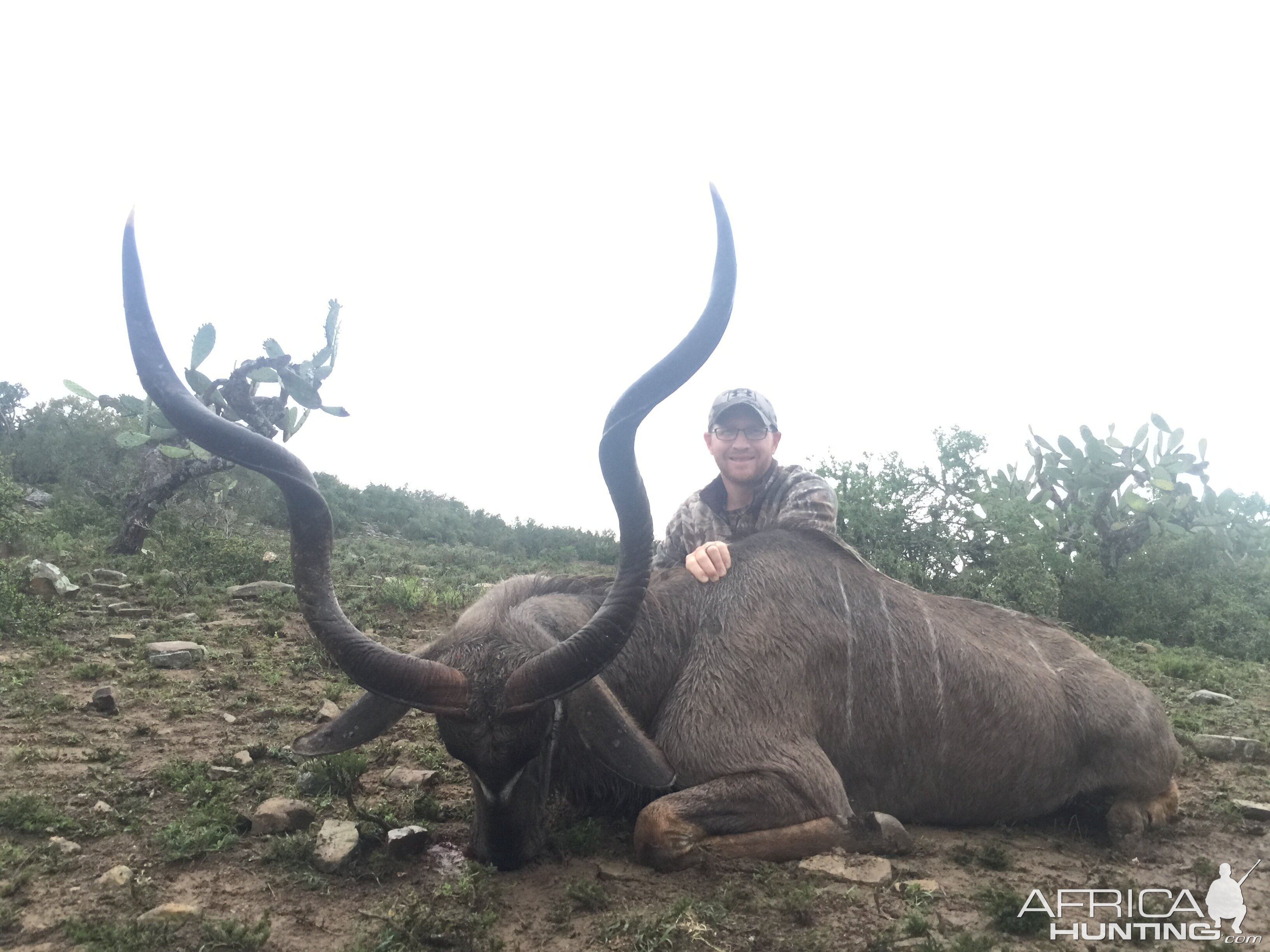 South Africa Hunt Kudu