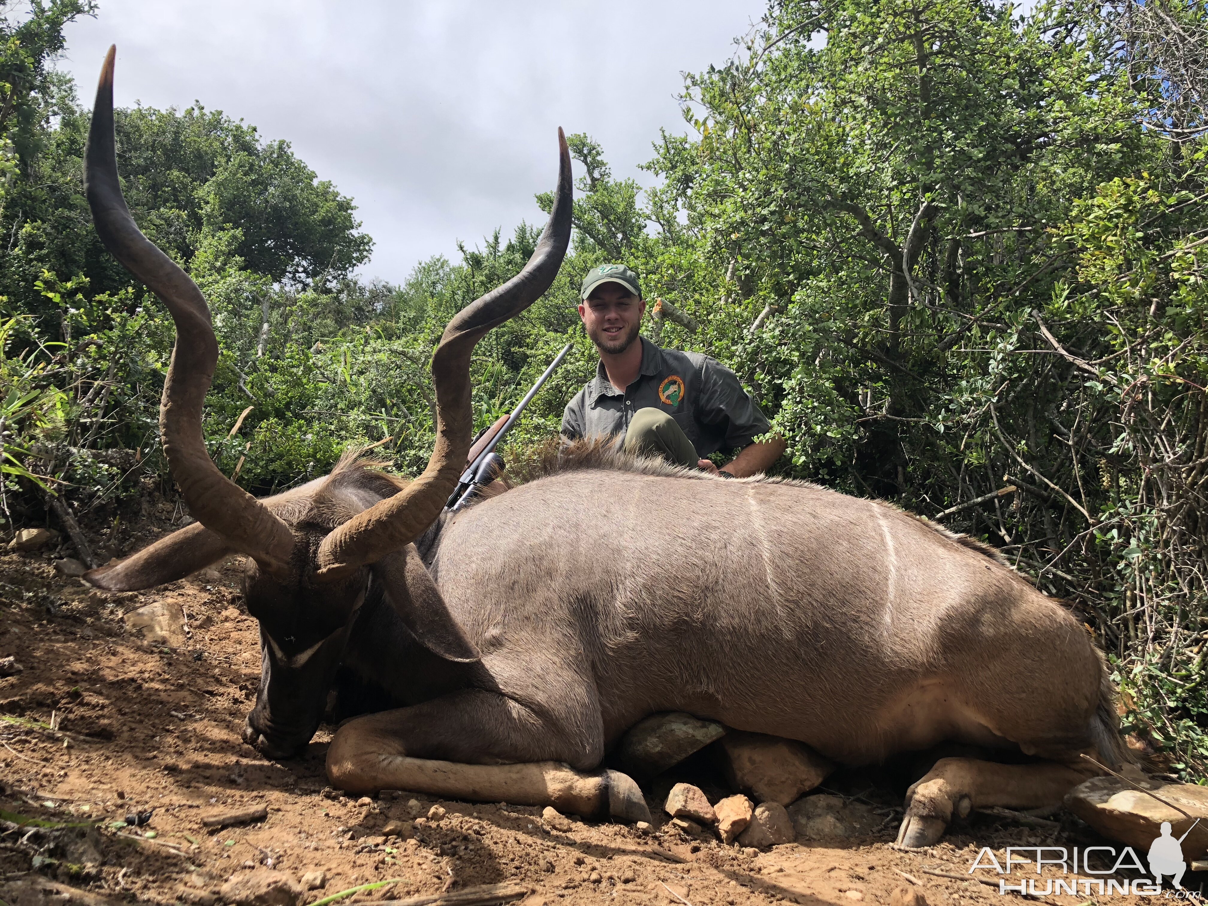 South Africa Hunt Kudu