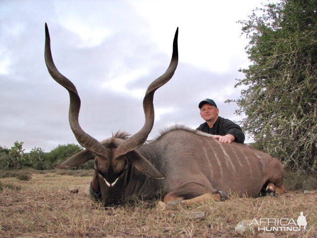 South Africa Hunt Kudu