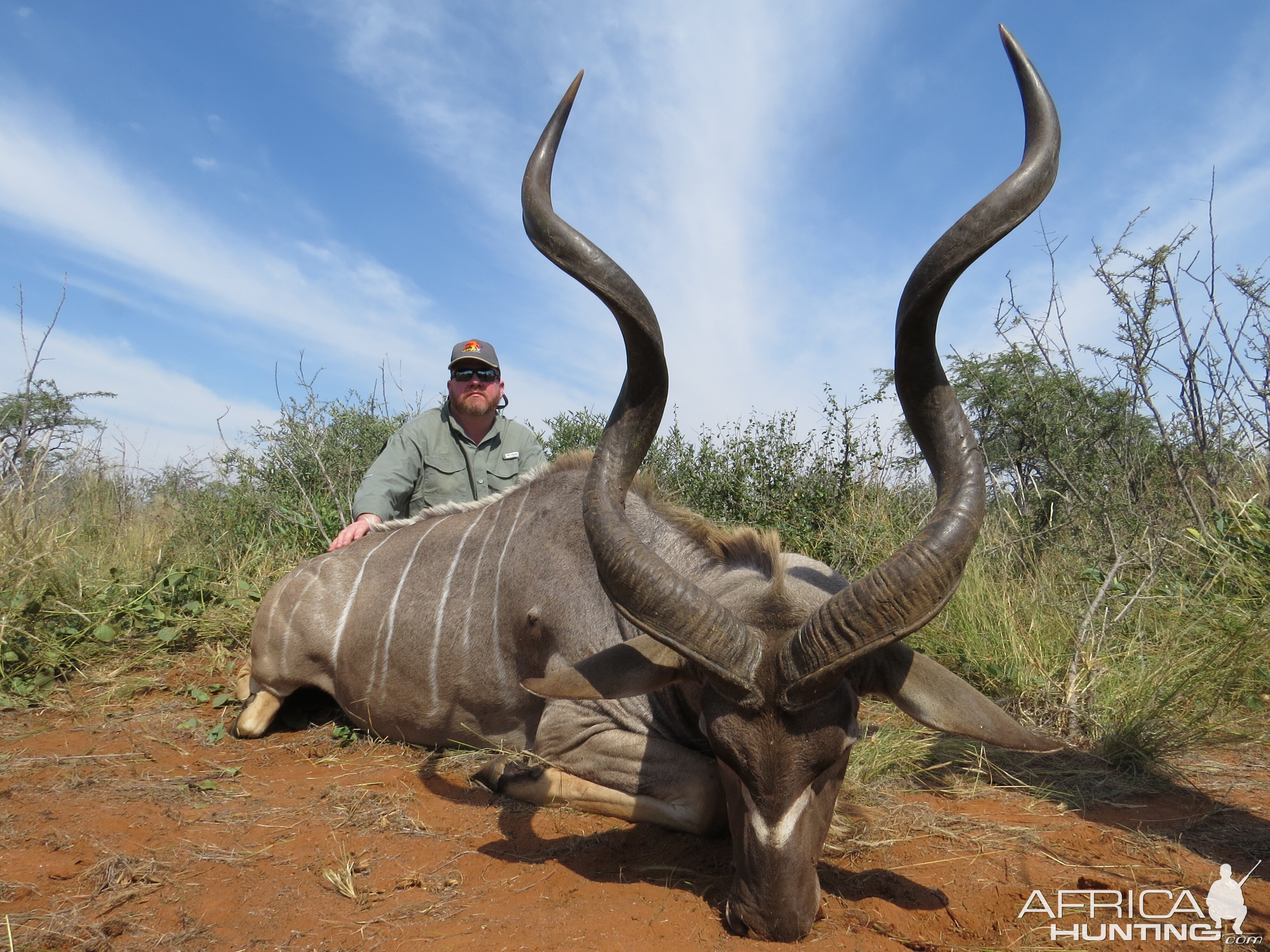 South Africa Hunt Kudu