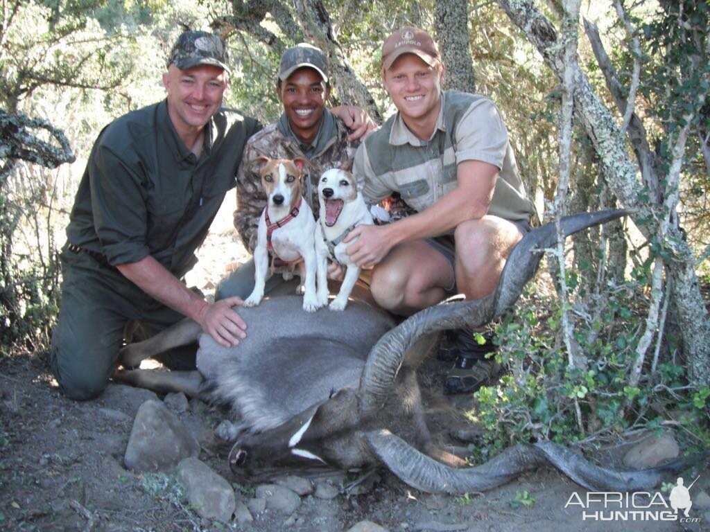 South Africa Hunt Kudu