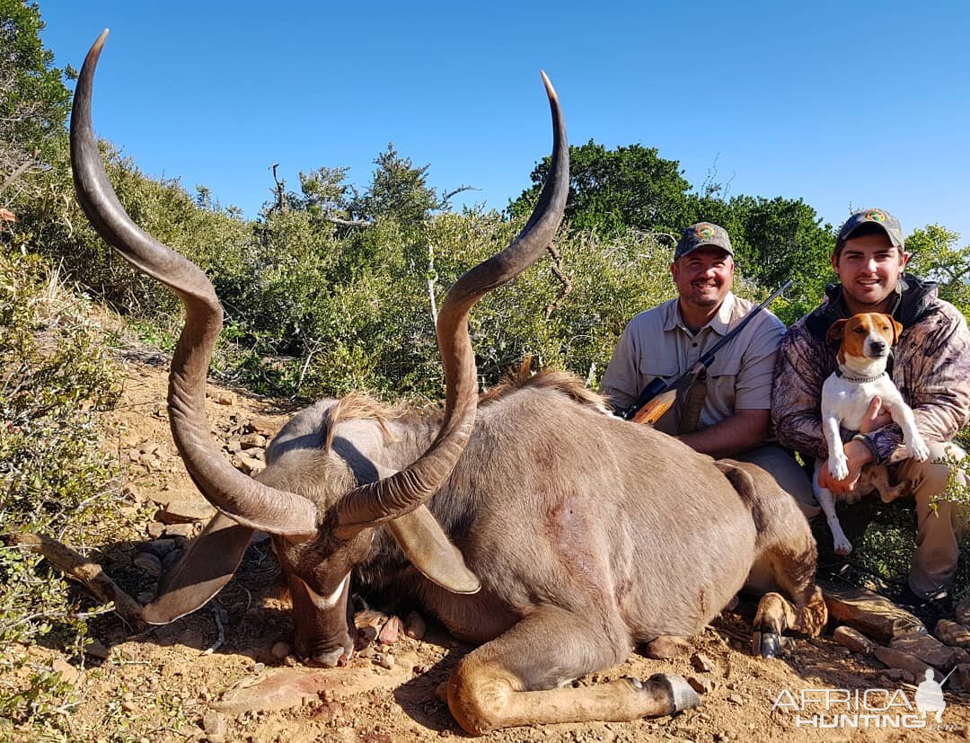 South Africa Hunt Kudu