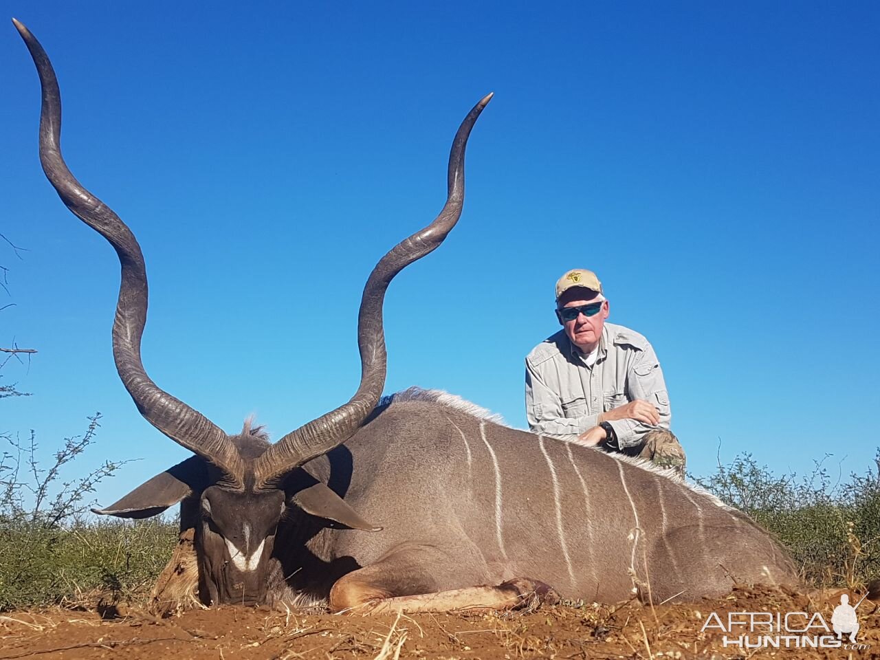 South Africa Hunt Kudu