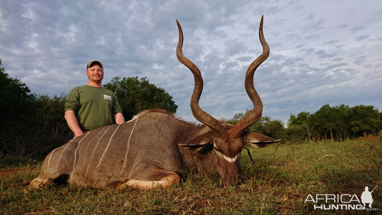 South Africa Hunt Kudu