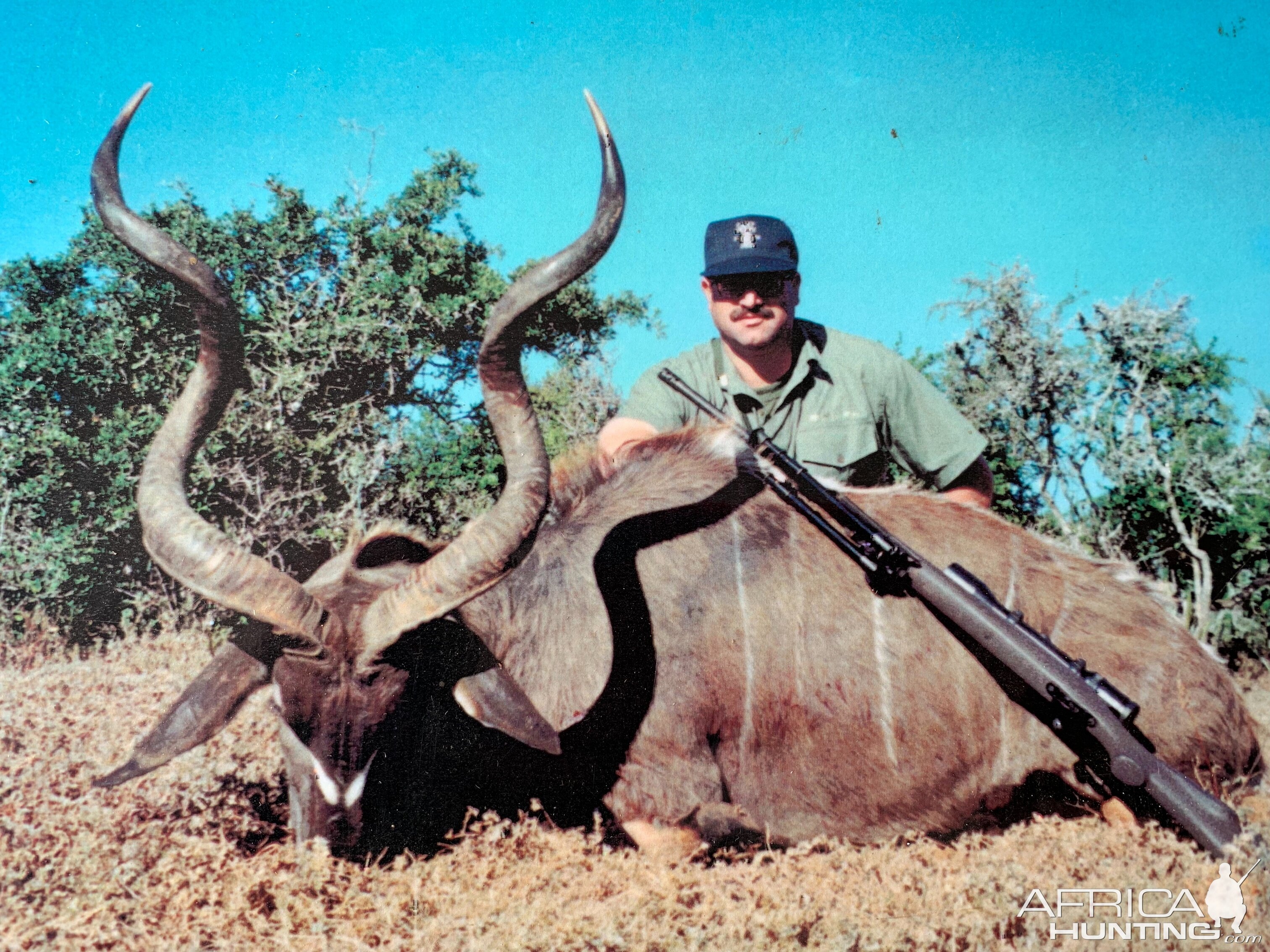 South Africa Hunt Kudu