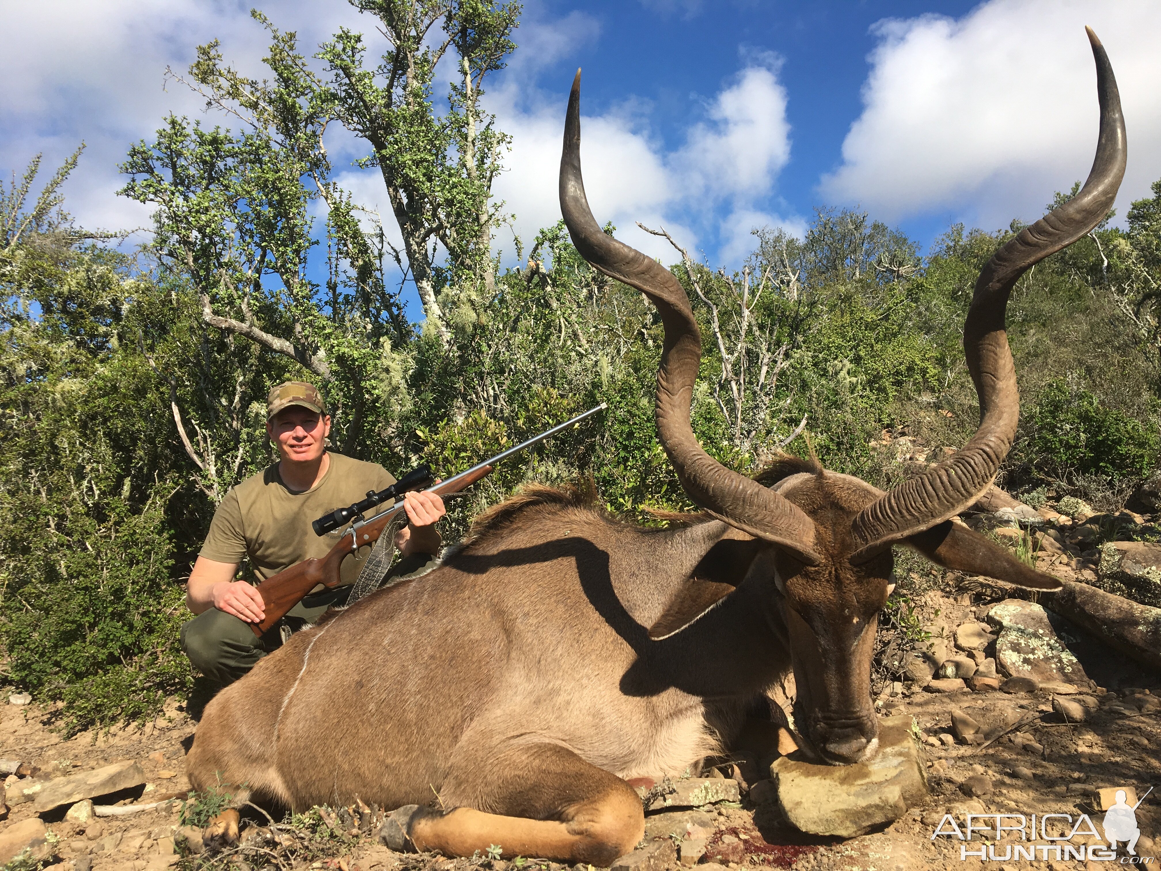 South Africa Hunt Kudu