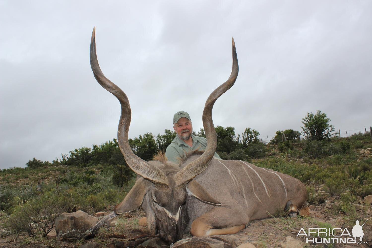 South Africa Hunt Kudu