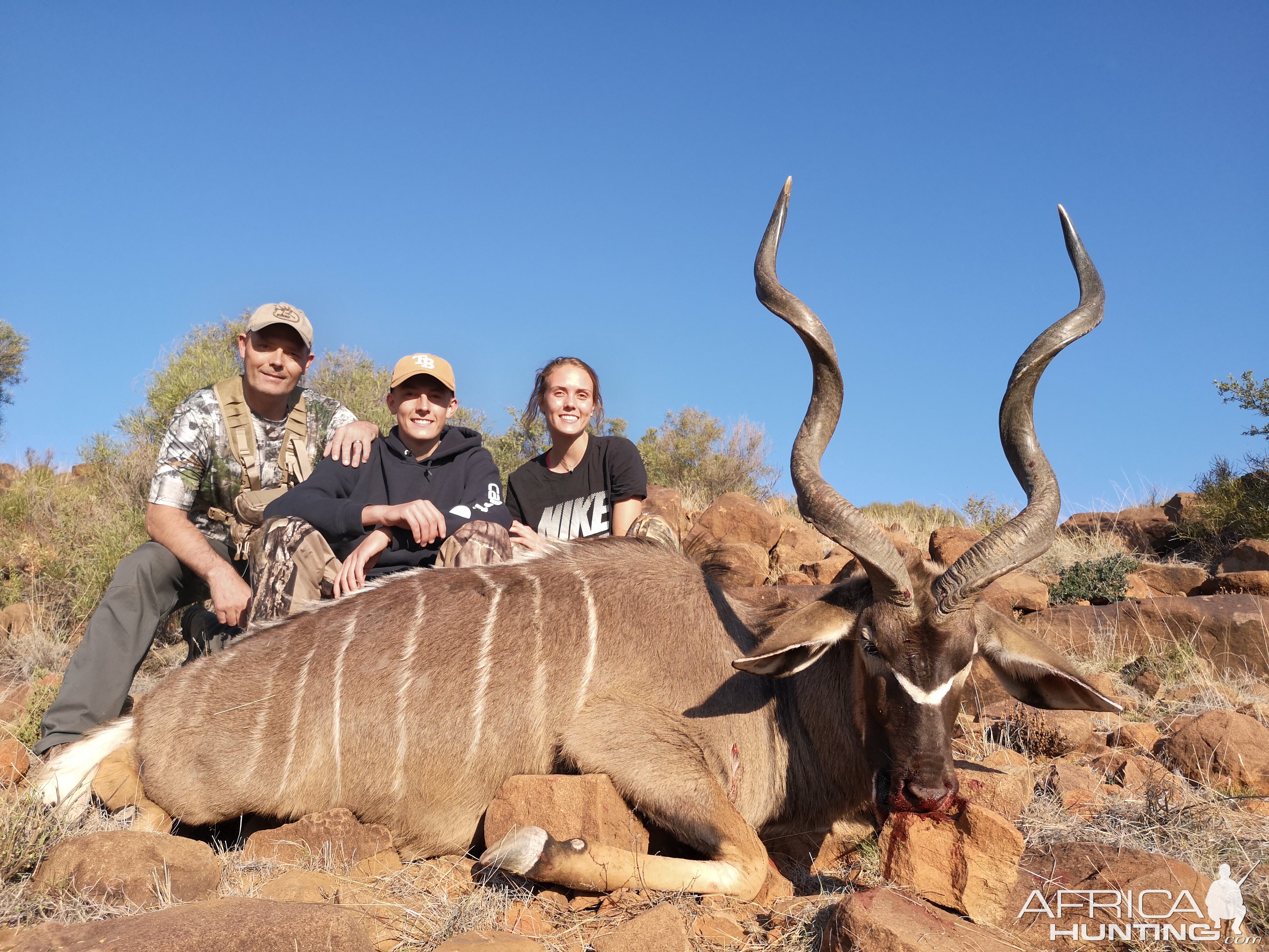 South Africa Hunt Kudu