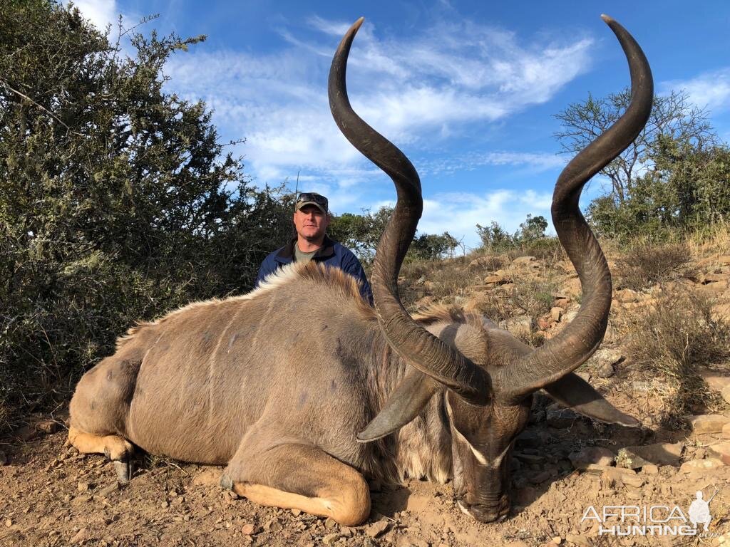 South Africa Hunt Kudu