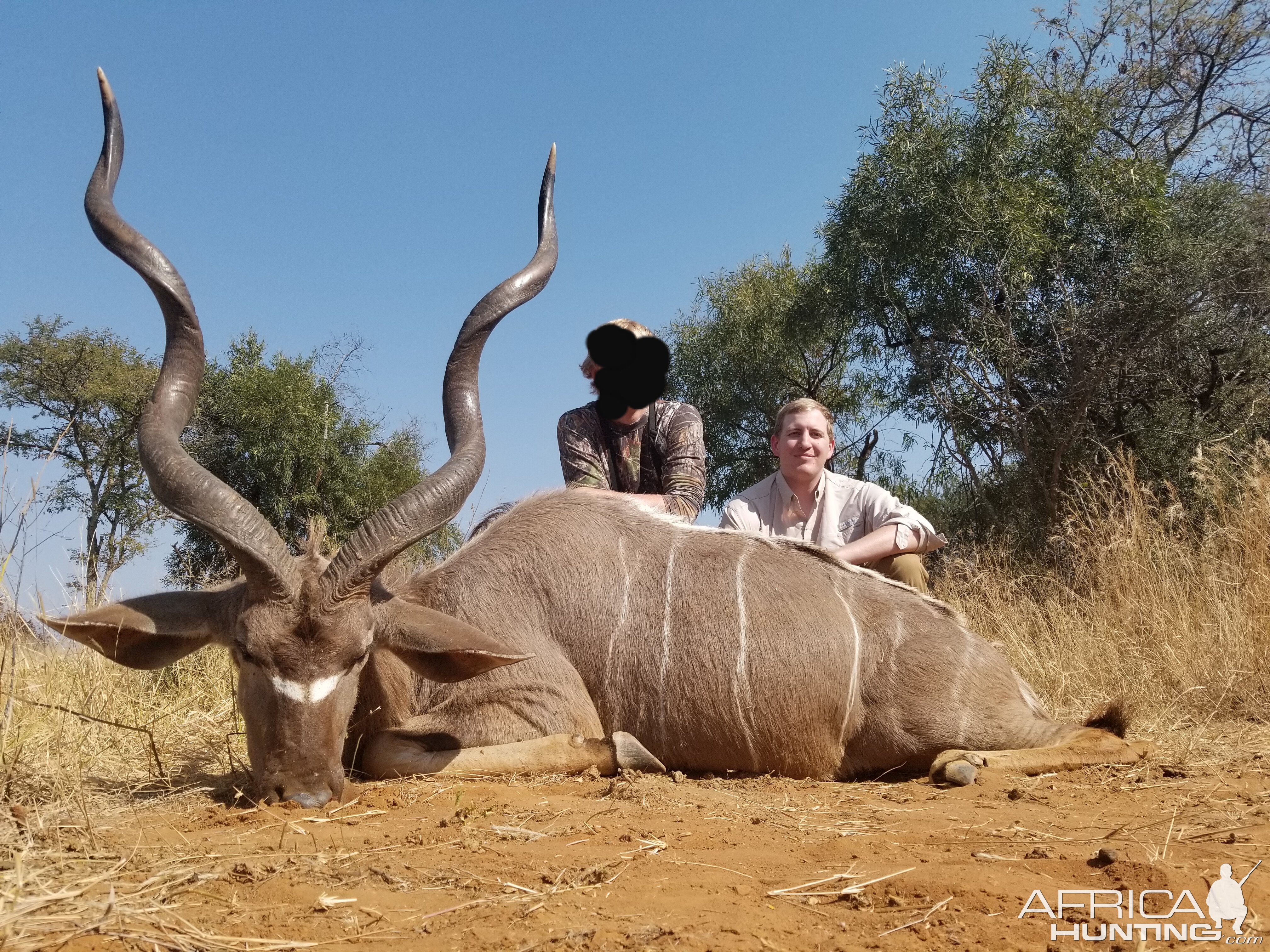 South Africa Hunt Kudu