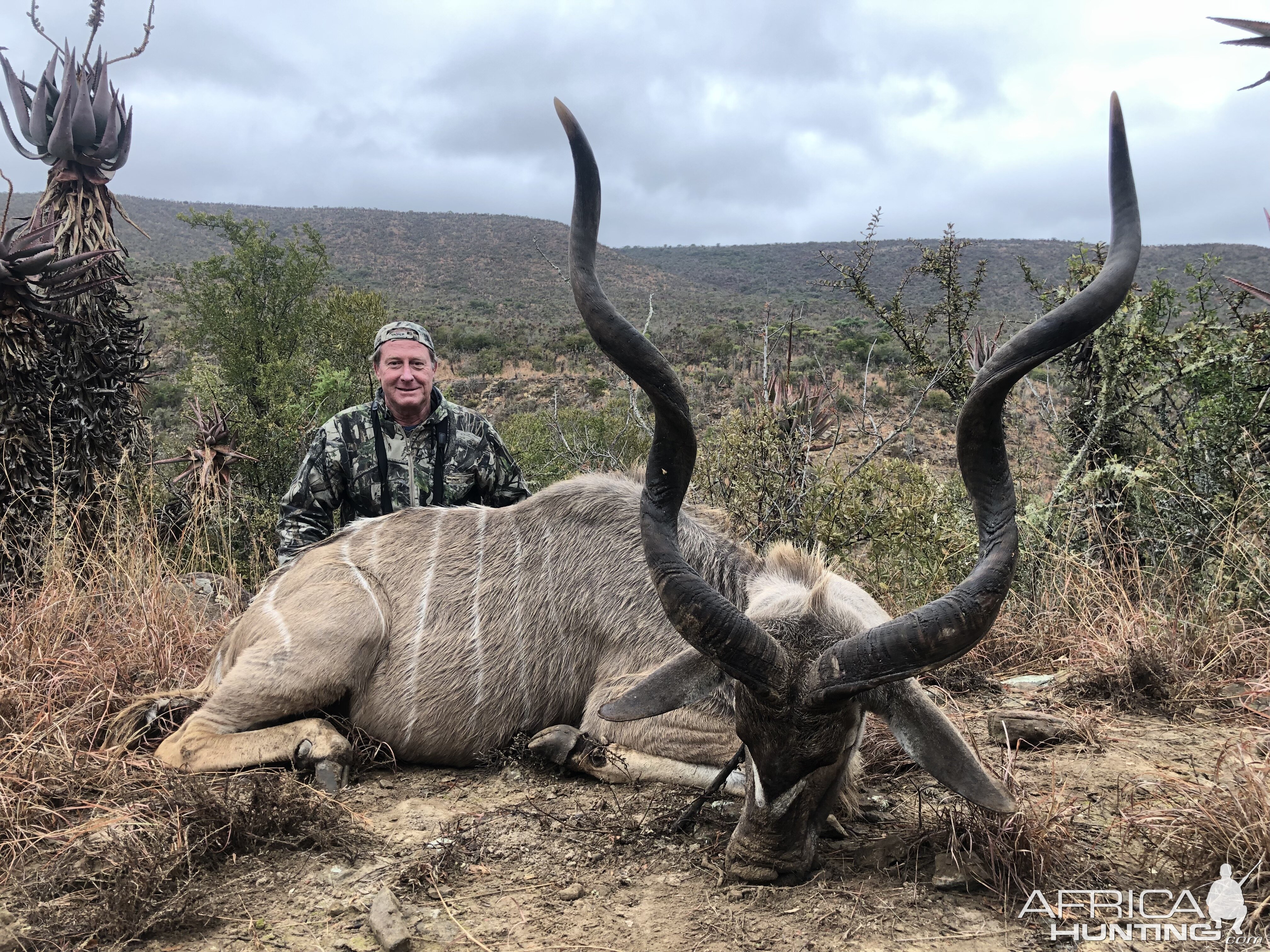 South Africa Hunt Kudu