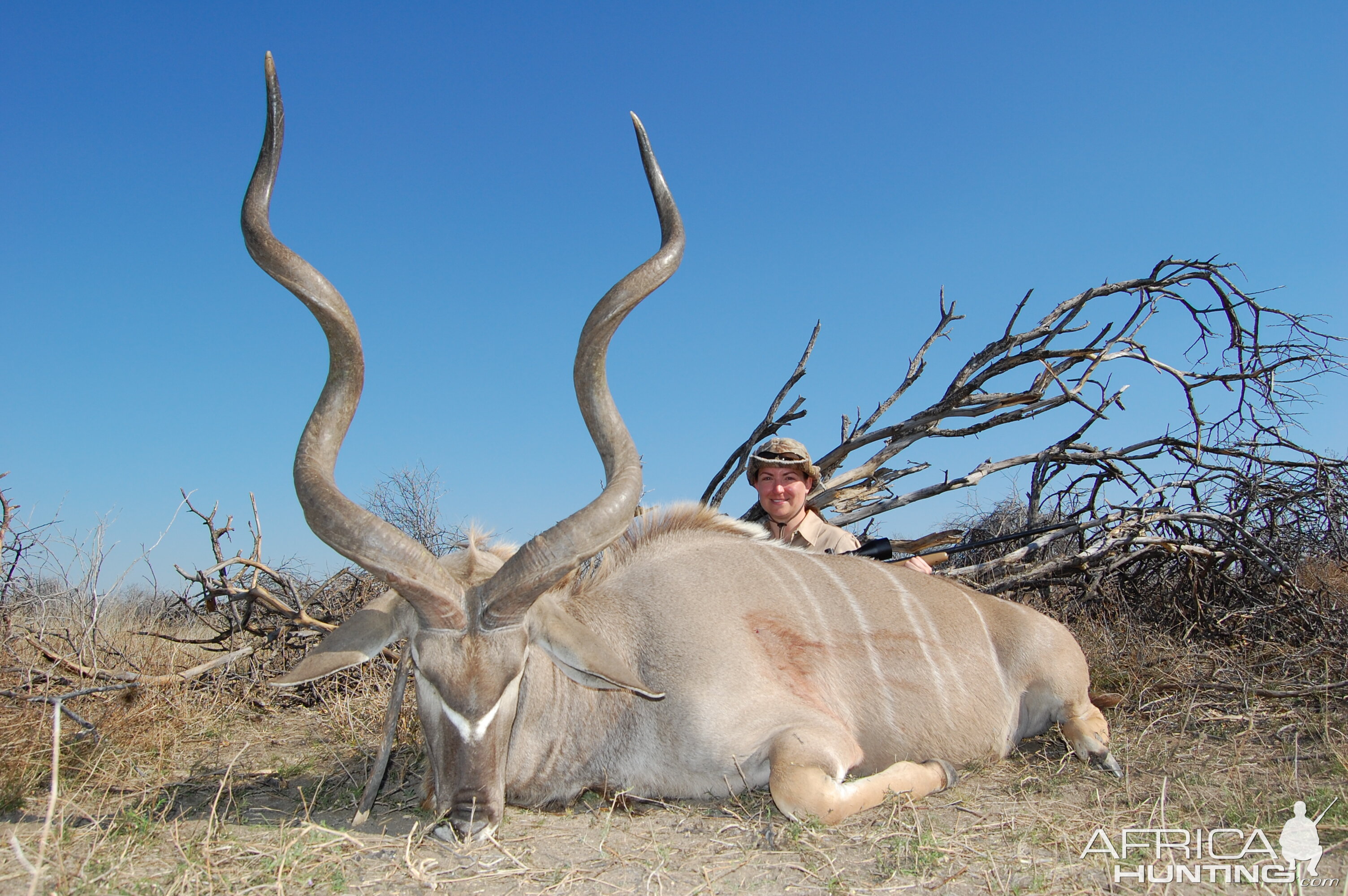 South Africa Hunt Kudu