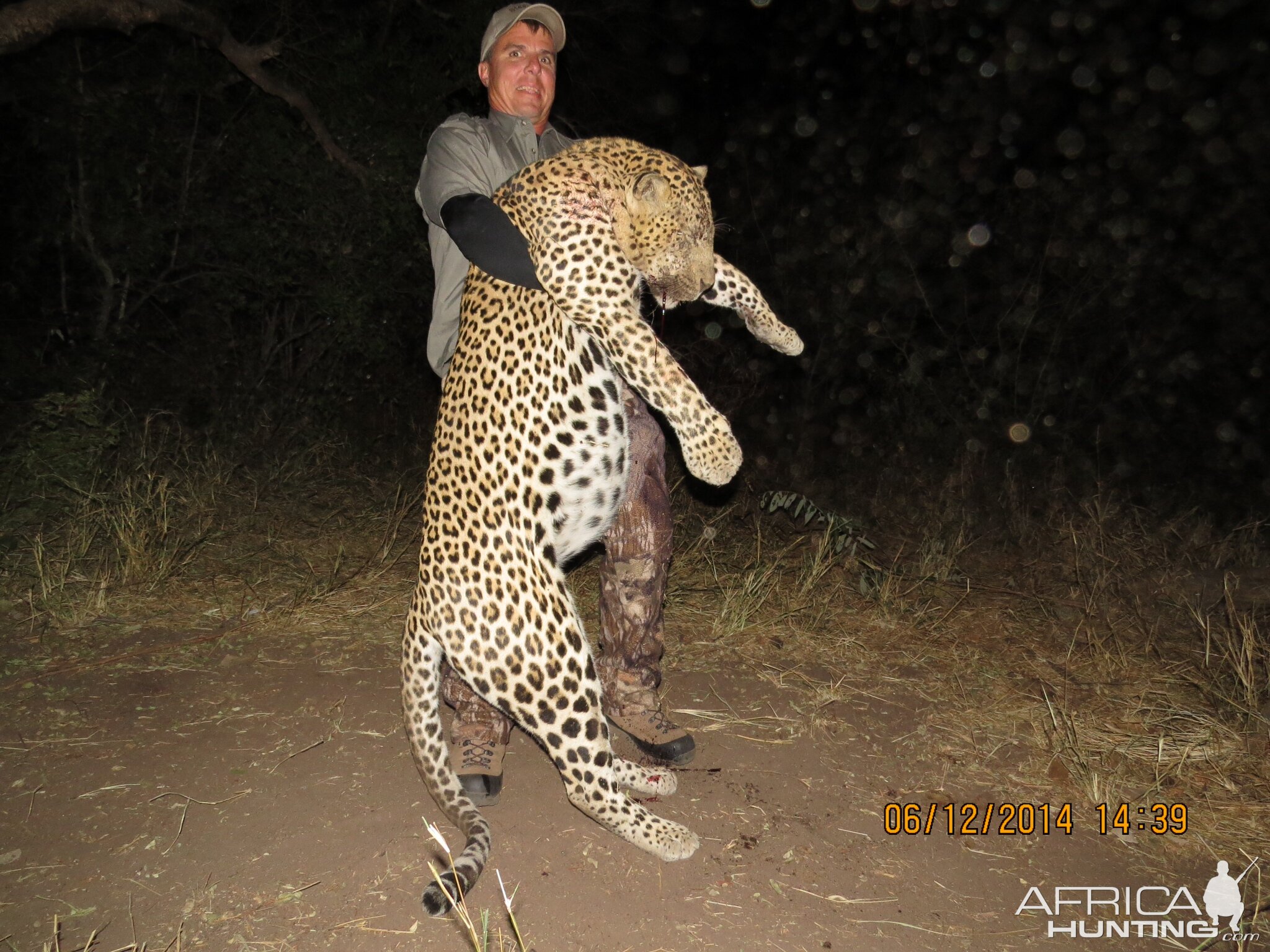 South Africa Hunt Leopard