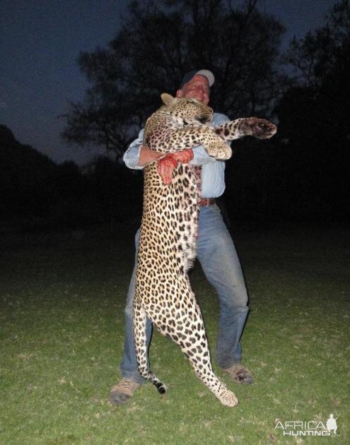 South Africa Hunt Leopard