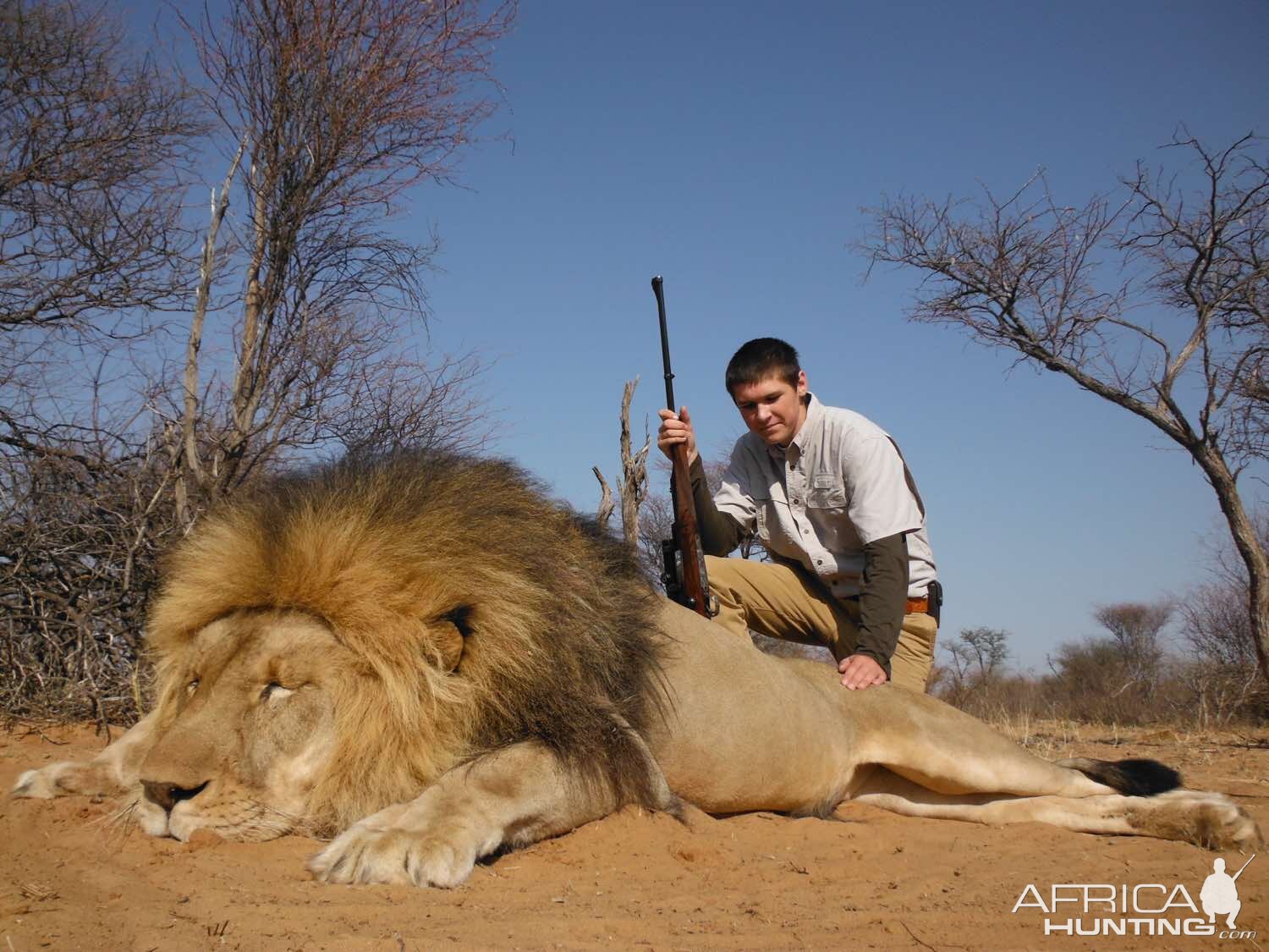 South Africa Hunt Lion