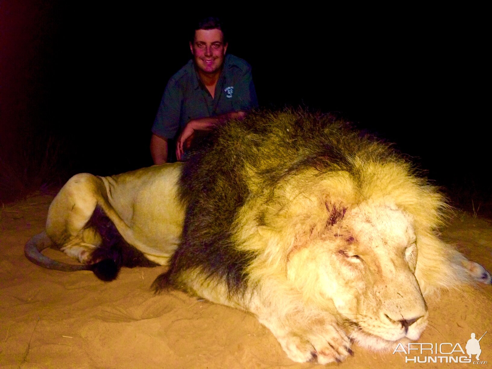 South Africa Hunt Lion