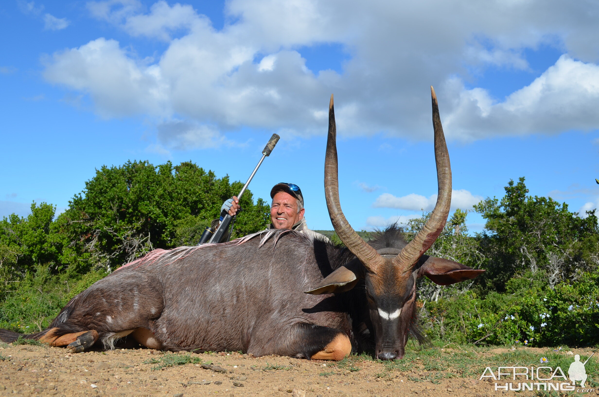 South Africa Hunt Nyala